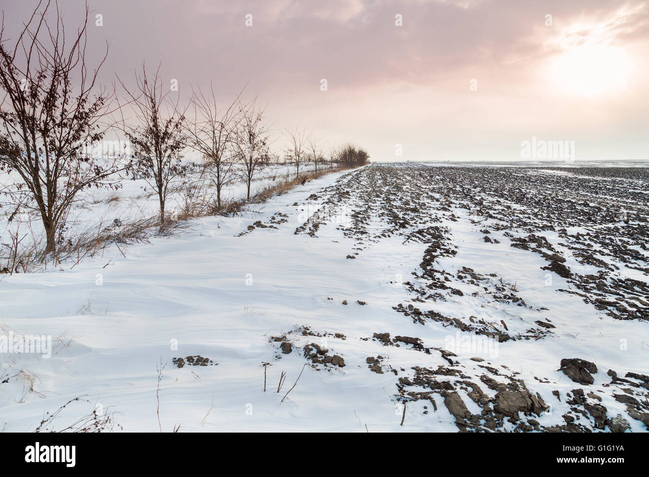Ackerland mit Schnee bedeckt Stockfoto