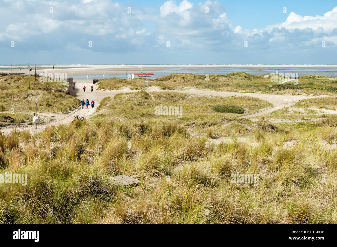 Dünen und Fußweg zum North Beach auf der Insel Borkum, Niedersachsen, Deutschland Stockfoto