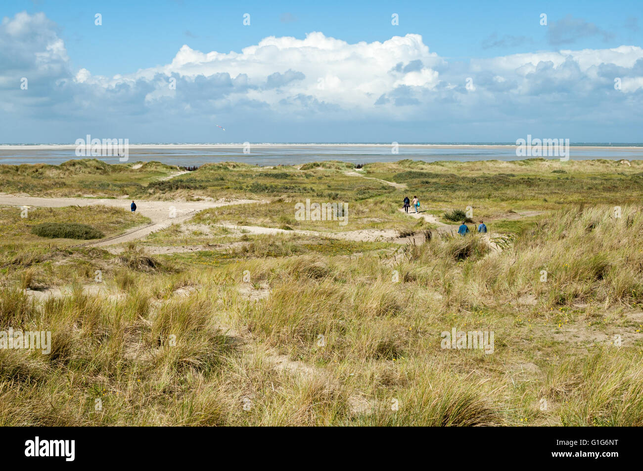 Strand und Dünen mit Dünengebieten Gras- und Menschen zu Fuß auf der Ostfriesischen Insel Borkum, Niedersachsen, Deutschland Stockfoto