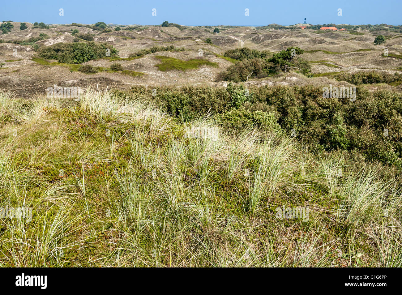 Hügellandschaft des Backdunes auf der Ostfriesischen Insel Spiekeroog, Niedersachsen, Deutschland Stockfoto