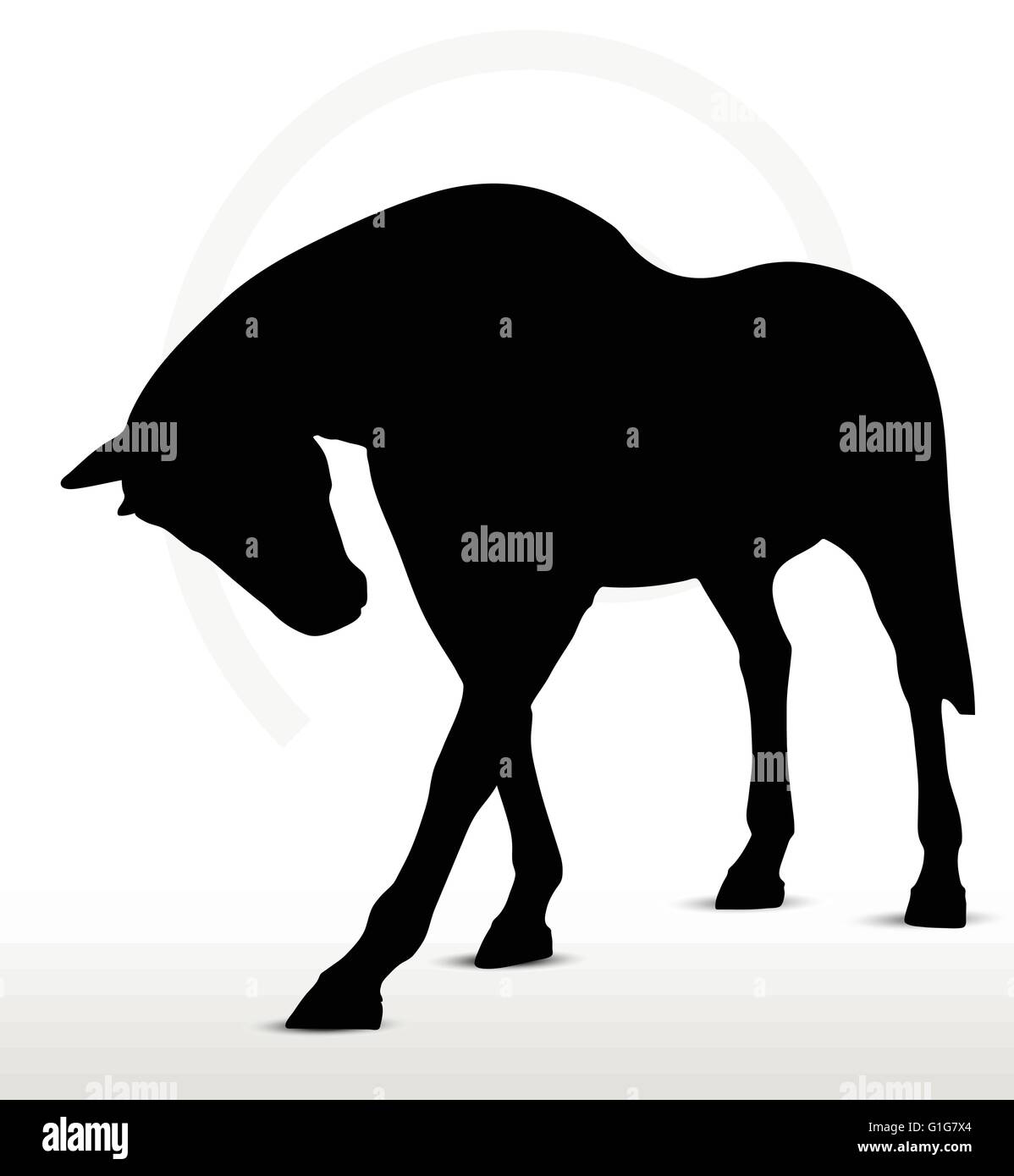 Download EPS 10 Vector - Pferd Silhouette im Kopf zu Fuß unten ...