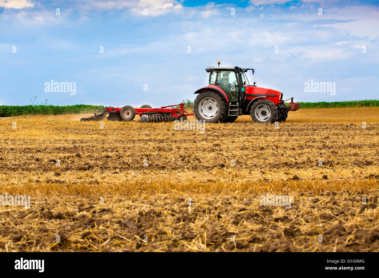 Traktor-Anbau von Weizen Stoppelfeld, Ernterückstände. Stockfoto