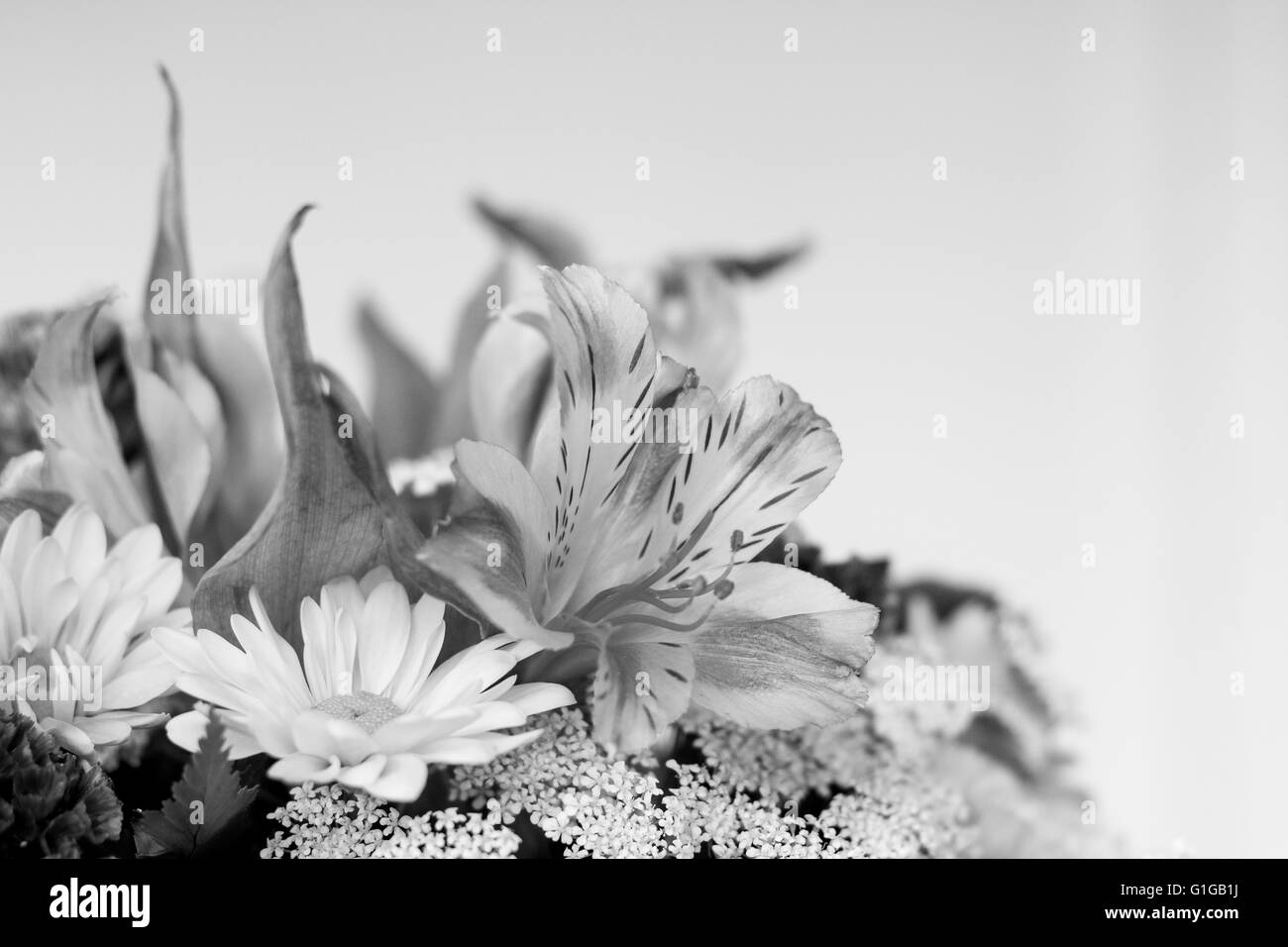 Gemischter Blumenstrauß Stockfoto