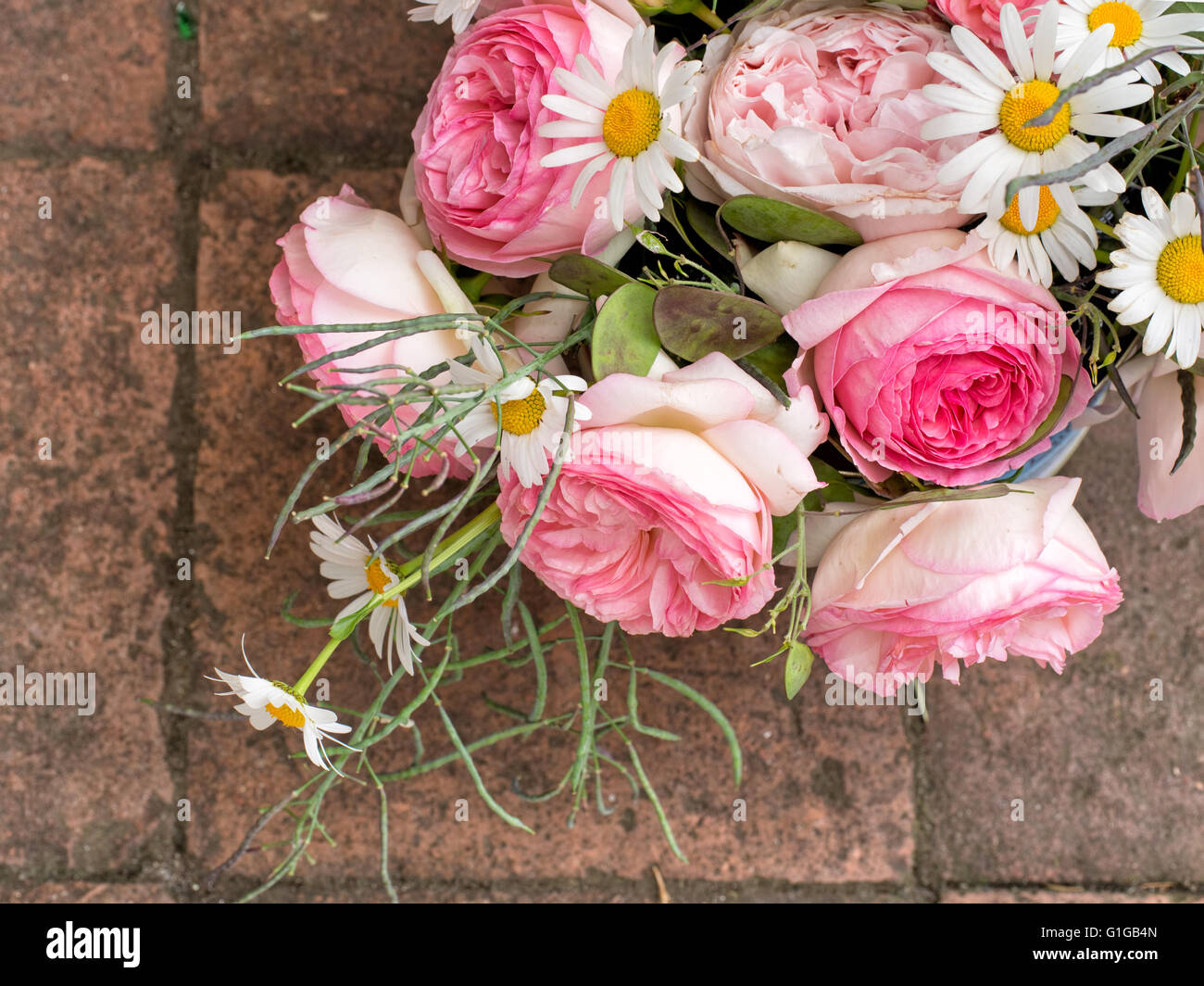 Mit Rosen Ehrlichkeit etc.. Unvollkommen, selbst angebauten Blumenstrauß auf Terrakotta-Boden. Italien. Stockfoto