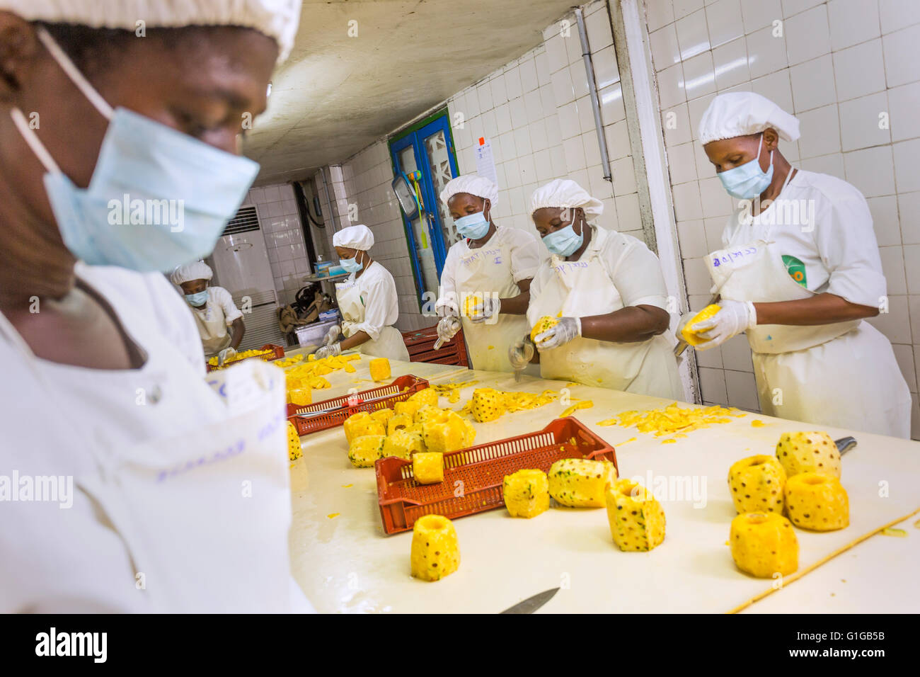 Fairtrade-Ananas-Prozessor / Produzent in Grand Bassam, Elfenbeinküste, Westafrika. Stockfoto