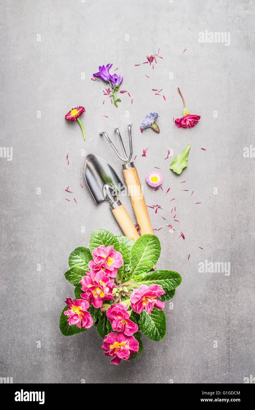 Gartengeräte mit Blumen auf grauem Stein konkreten Hintergrund, Top anzeigen verfassen Stockfoto