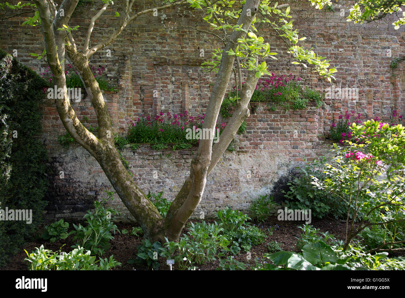 Sissinghurst Castle Garden. Stockfoto