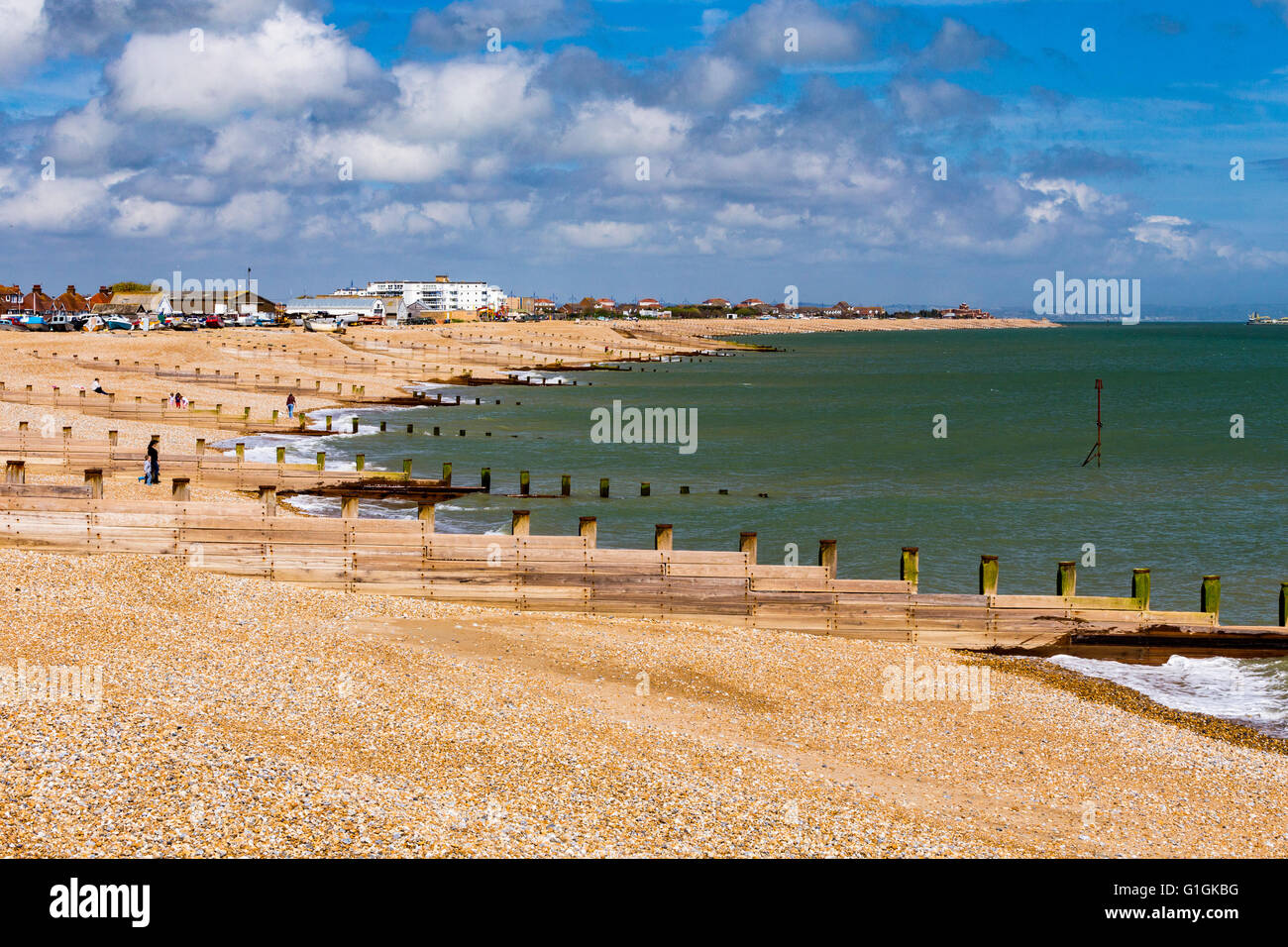 Buhnen entlang des Strandes in der Nähe von Eastbourne, East Sussex, England, Vereinigtes Königreich Stockfoto