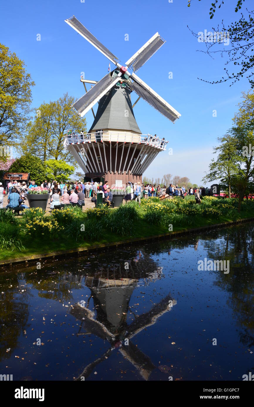 Windmühle am Keukenhof Gärten mit den Menschenmassen und eine atemberaubende Spiegelbild im Wasser. Stockfoto