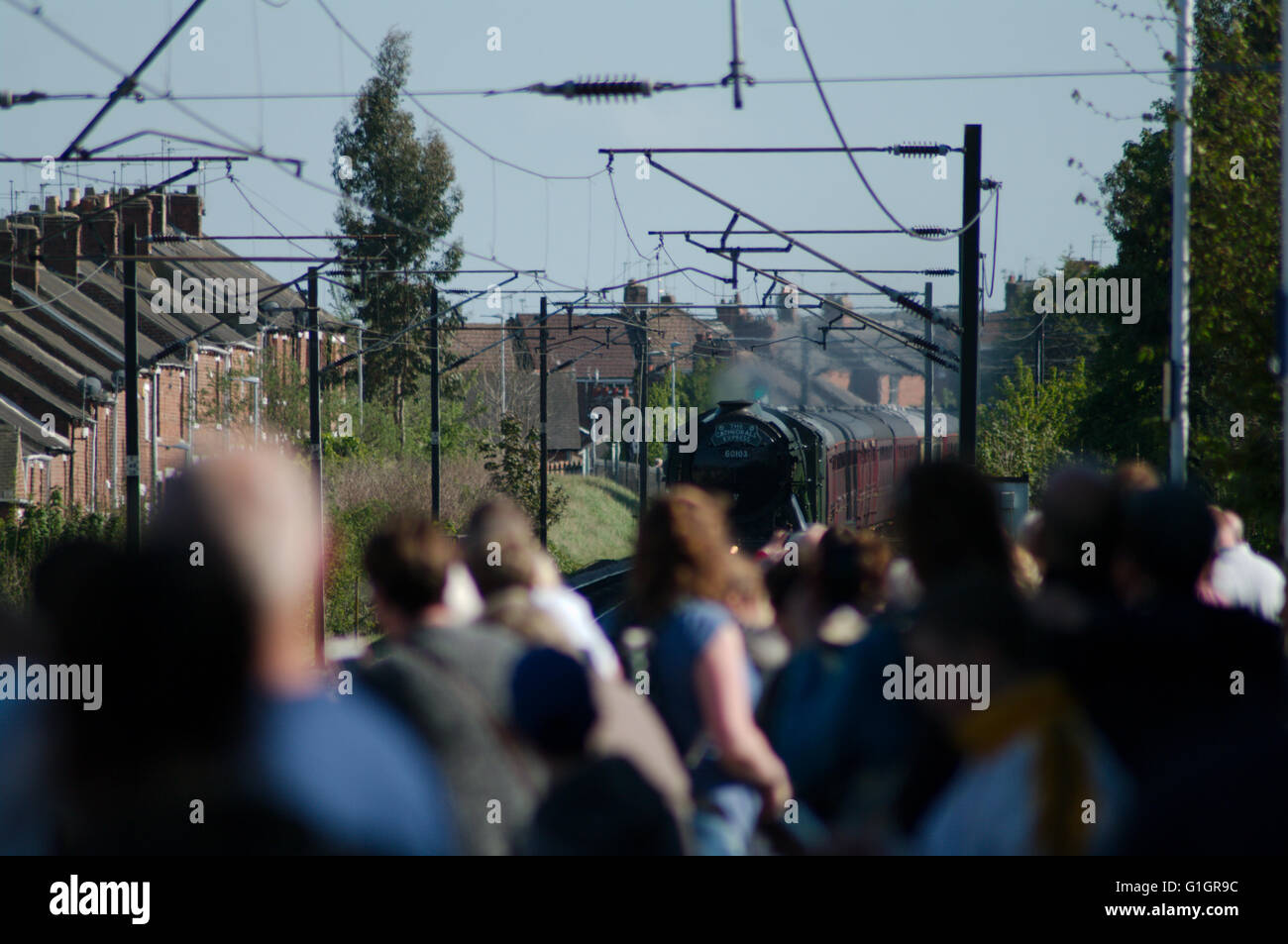 Chester le Street, UK, 14. Mai 2016. Menschenmassen beobachten Flying Scotsman nähert sich Chester-le-Street-Station.  Bildnachweis: Colin Edwards / Alamy Live News Stockfoto