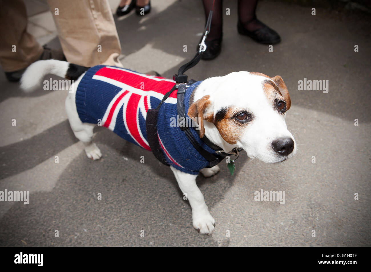 Ein Hund Union Jack England Flagge Regenmantel Mantel Hunde Hunde Rasse Tragen Tragen Von Pet Mantel Winter Wetter Warm Warme Pet Kleidung Stockfotografie Alamy