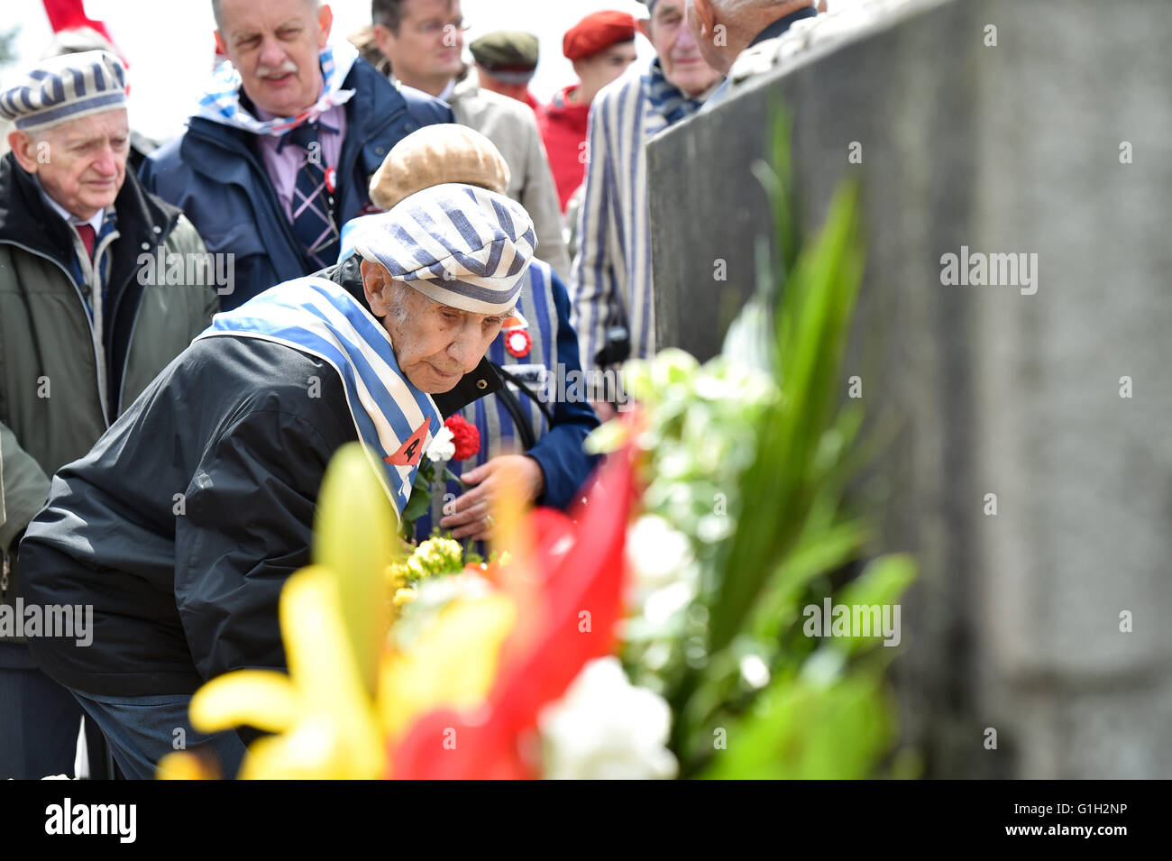 Wien, Österreich. 15. Mai 2016. Ältesten zollen Tribut getöteten im Rahmen einer Feierstunde zum 71. Jahrestag der Befreiung des KZ Mauthausen in dem Land Oberösterreich, Österreich, 15. Mai 2016. Mehr als 6.000 Menschen versammelten sich zum 71. Jahrestag der Befreiung des Konzentrationslagers Mauthausen am Sonntag. © Qian Yi/Xinhua/Alamy Live-Nachrichten Stockfoto