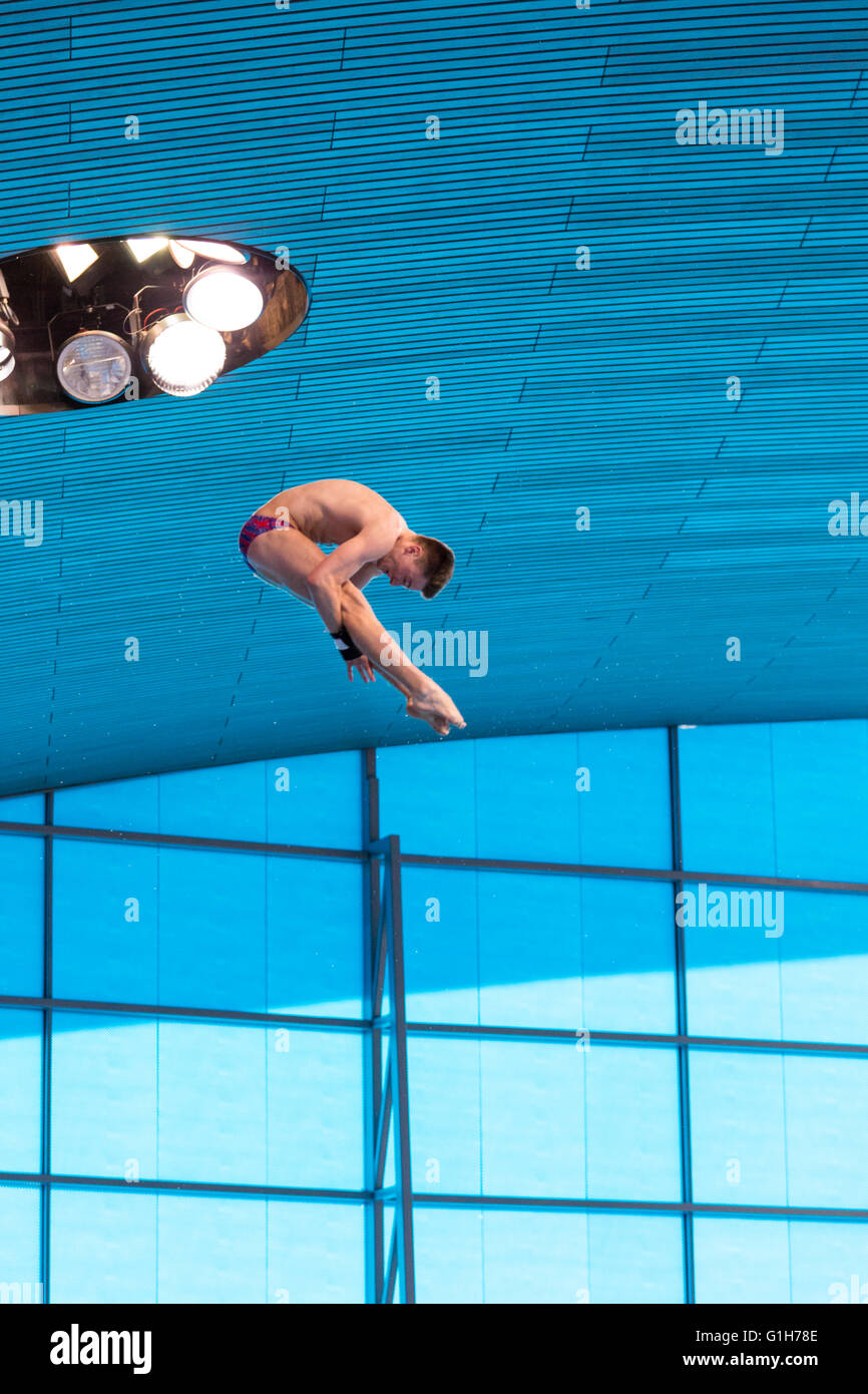 Aquatics Centre, Olympic Park, London, Großbritannien. Mai 2016. Der britische Taucher Matty Lee (Matthew Lee) bei seinem ersten Tauchgang. Der Brite Tom Daley gewinnt mit 570.50 Punkten Gold, vor Victor Minibaev aus Russland mit 424.60 Punkten und einem zweiten Russen, Nikita Shleikher, mit 480.90 Punkten bei den len-Schwimmeuropameisterschaften. Kredit: Imageplotter Nachrichten und Sport/Alamy Live Nachrichten Stockfoto