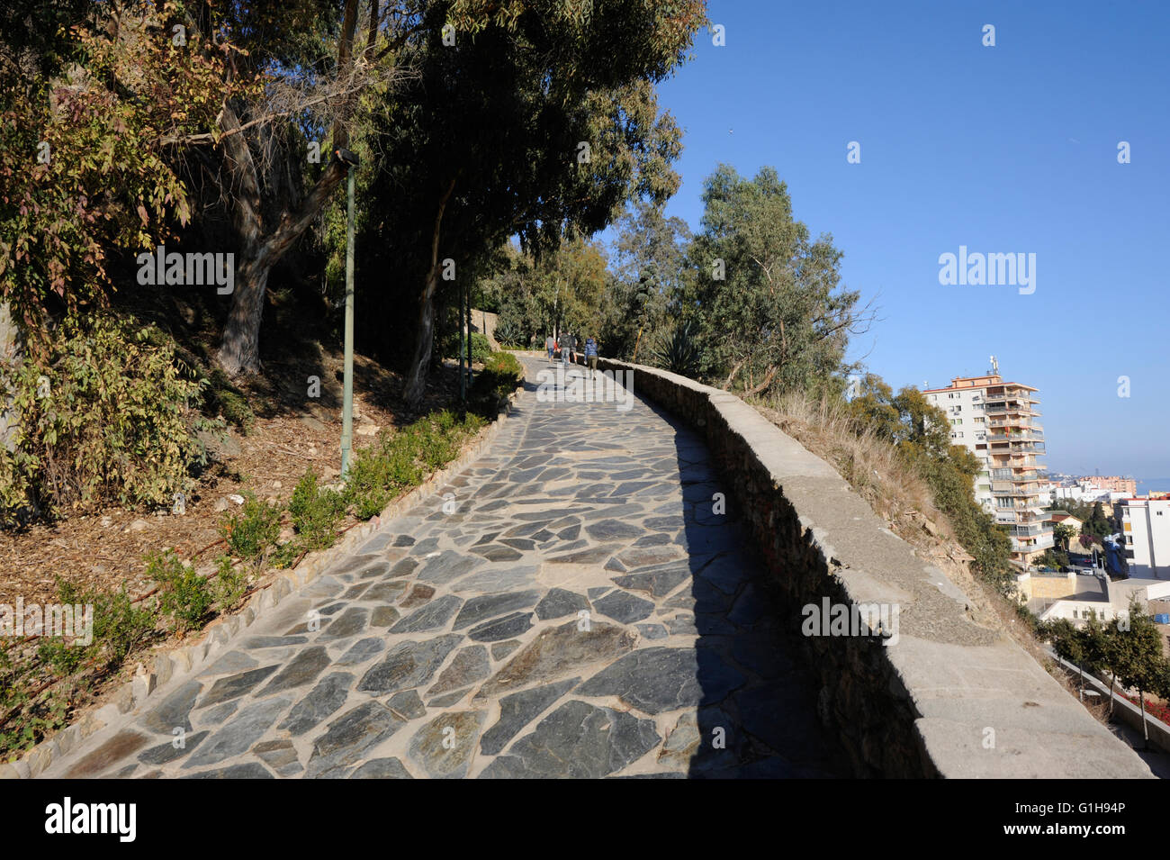 Hang, Hügel, Gibralfaro, Burg, Malaga Stockfoto
