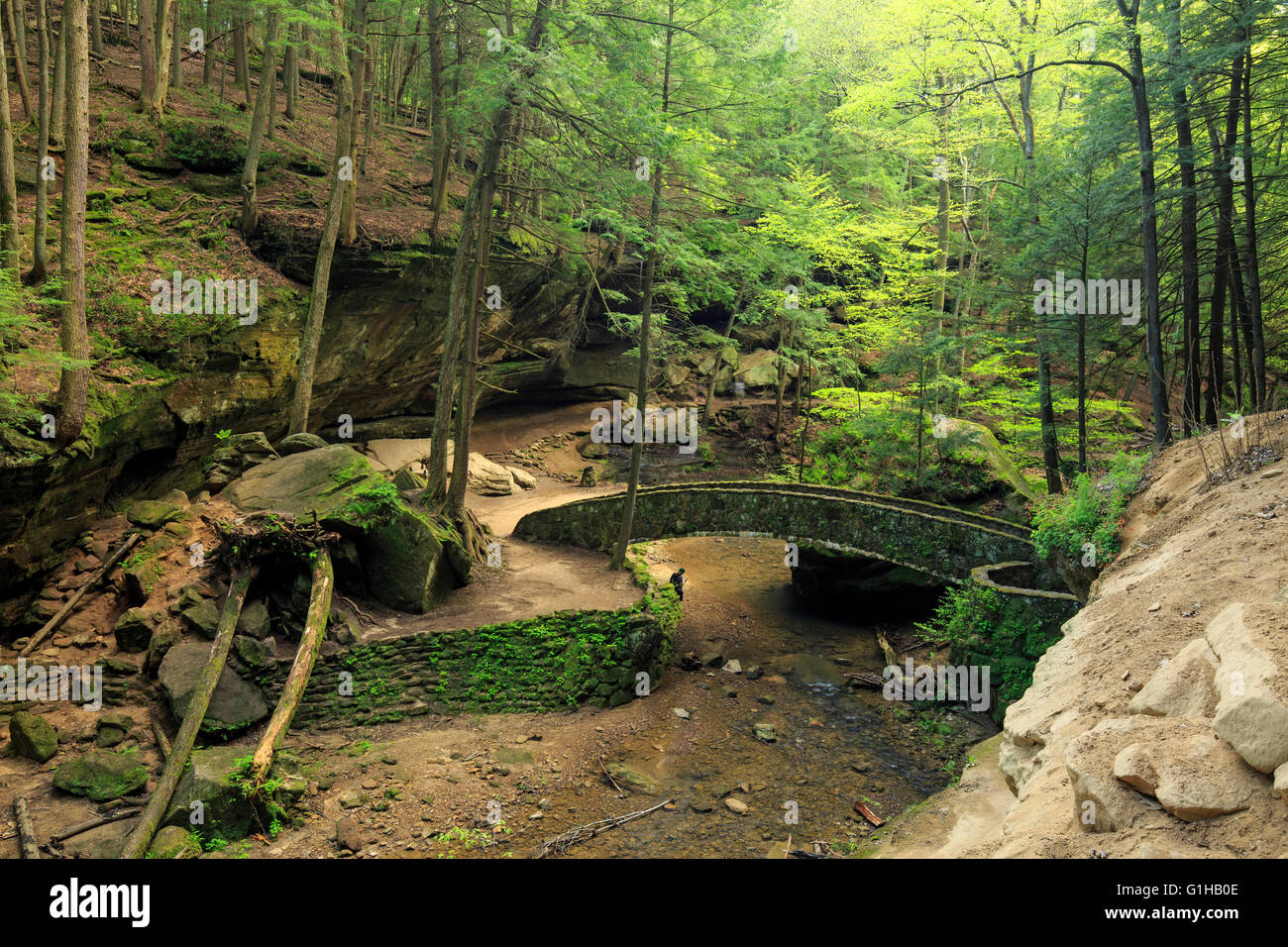 Bogenbrücke in der alte Mann Höhlenbereich Hocking HIlls State Park, Ohio (Mitte Mai) Stockfoto