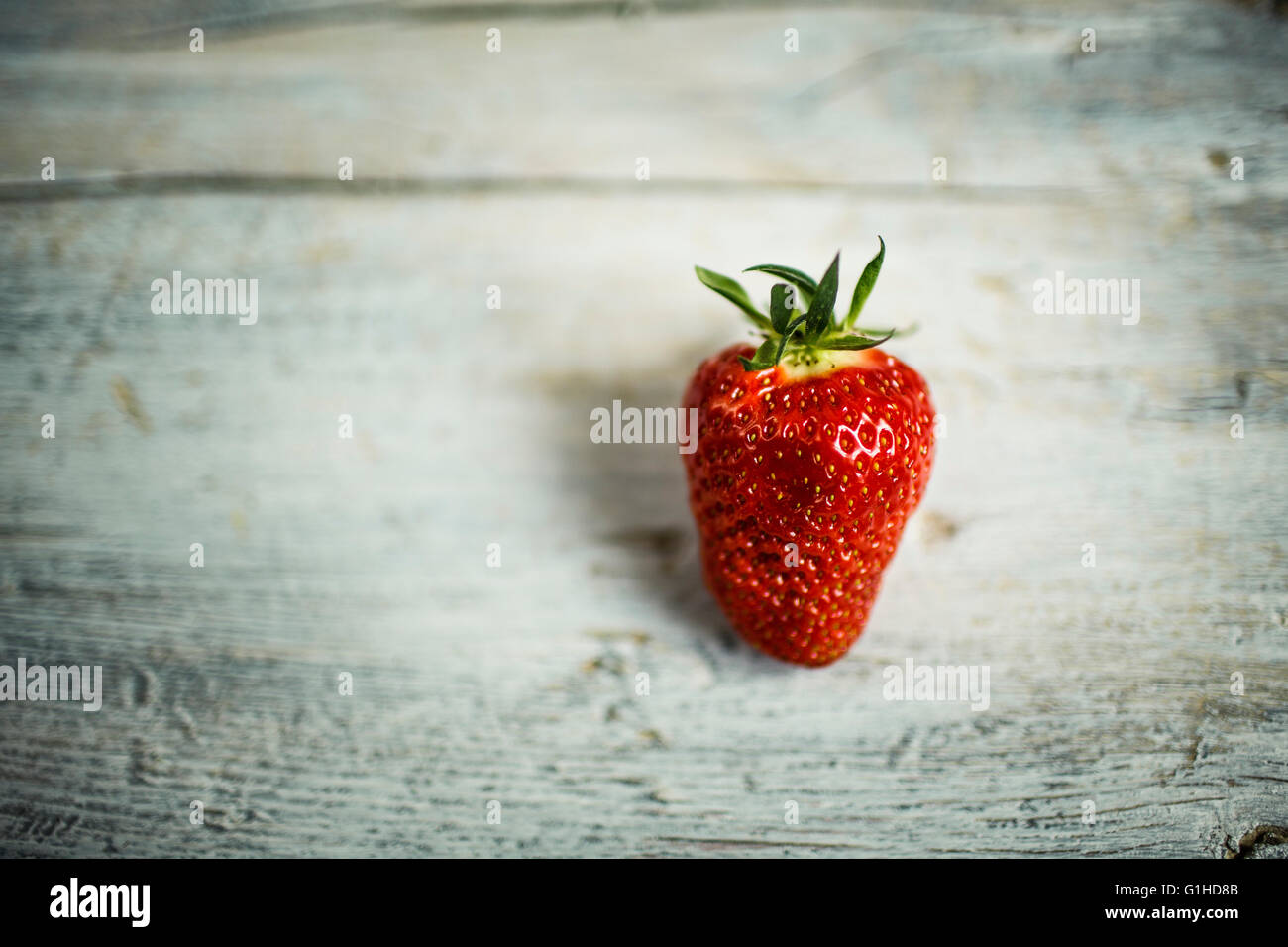 Einzigen frischen roten Erdbeere auf einfachen Hintergrund Stockfoto
