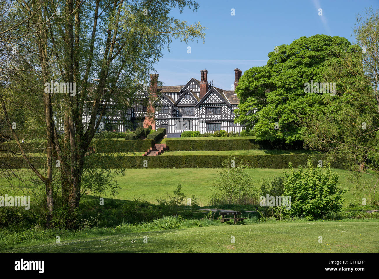 Bramall Hall in der Nähe von Stockport, umgeben von einem schönen Park. Eine Weide im Vordergrund. Stockfoto