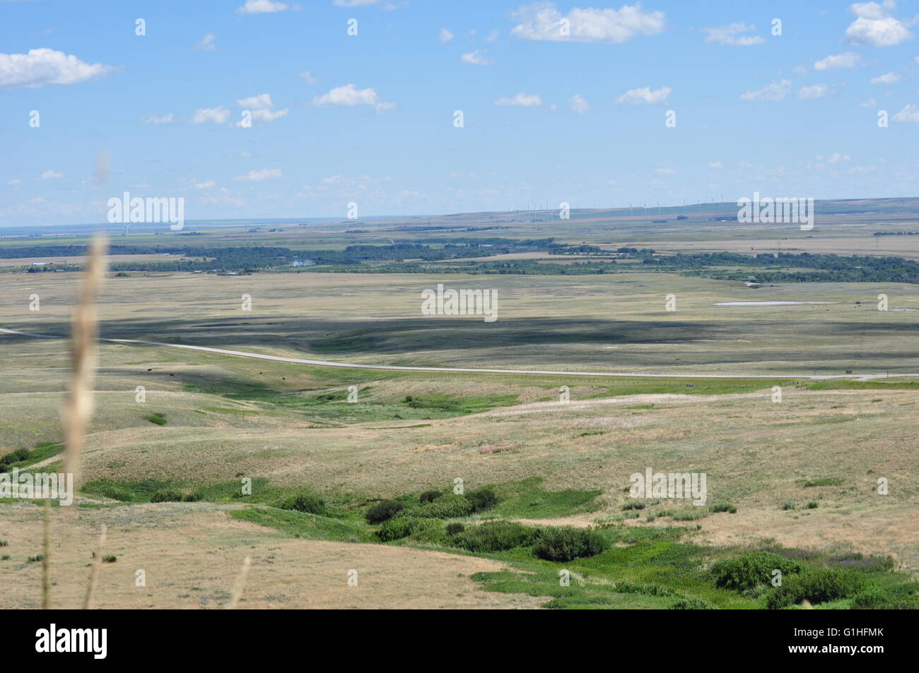 Prärie um Head-smashed-in Buffalo jump, Alberta, Kanada Stockfoto