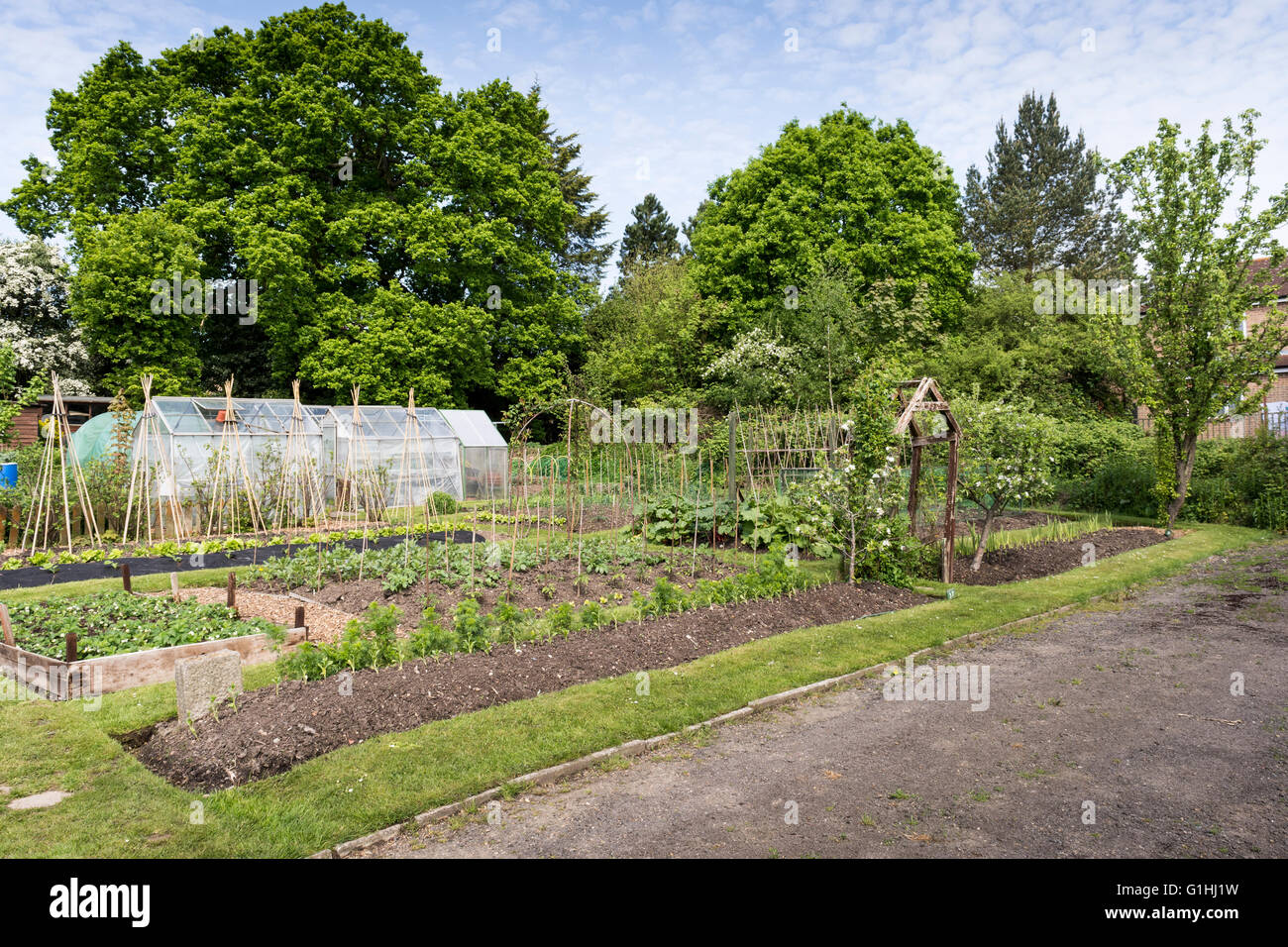 Gepflegter Schrebergarten im Frühling. Ein Grundstück für Familien wachsen Gemüse für den Eigenbedarf. Stockfoto