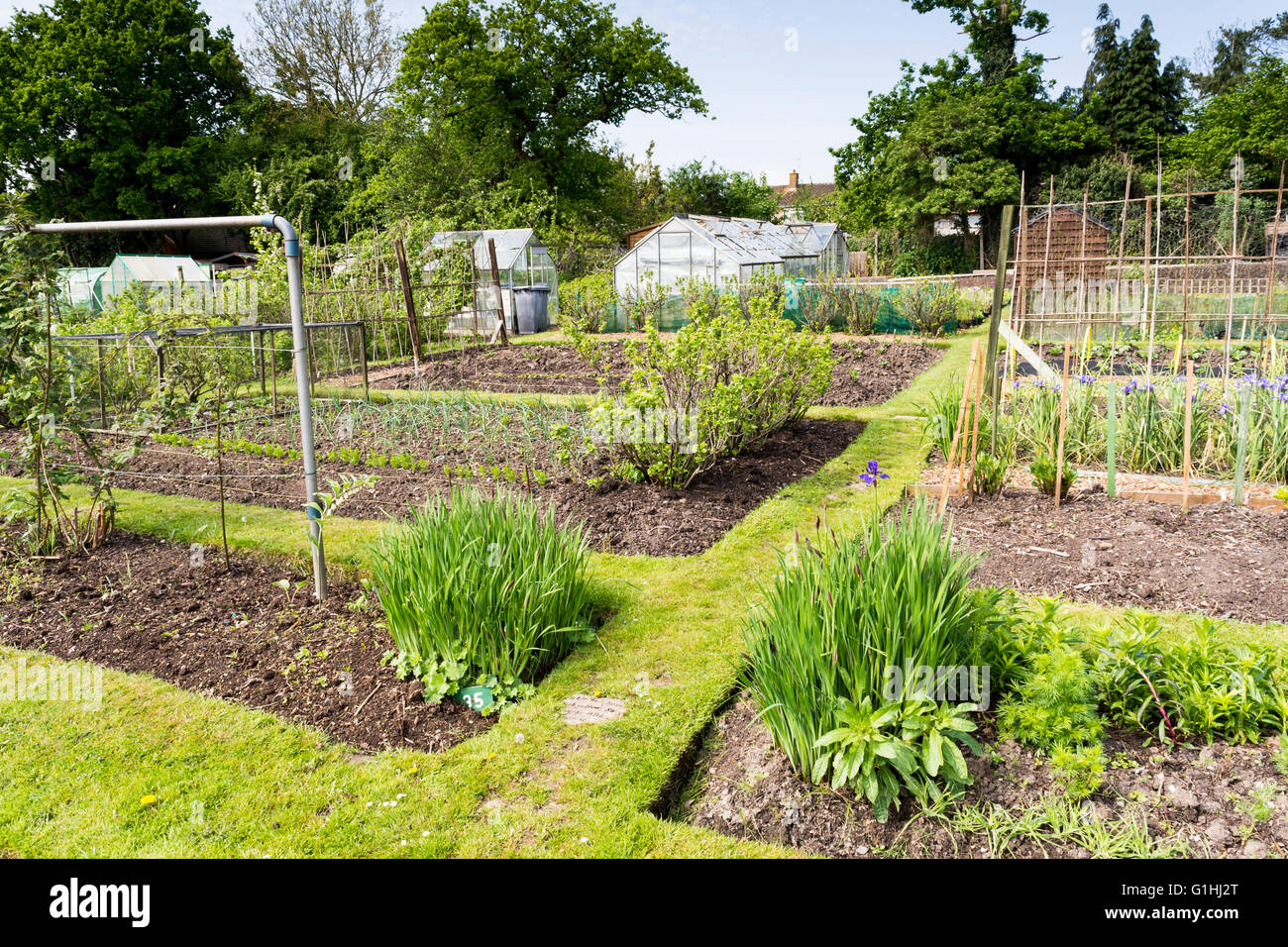 Gepflegter Schrebergarten im Frühling. Ein Grundstück für Familien wachsen Gemüse für den Eigenbedarf. Stockfoto