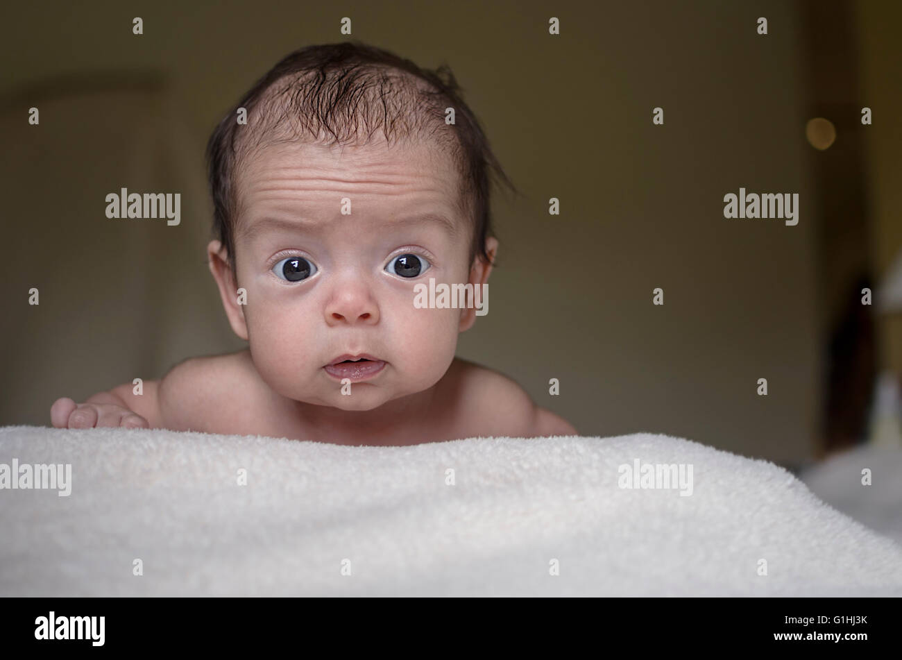 Porträt eines niedlichen Babys krabbeln im Bett, Blick in die Kamera Stockfoto