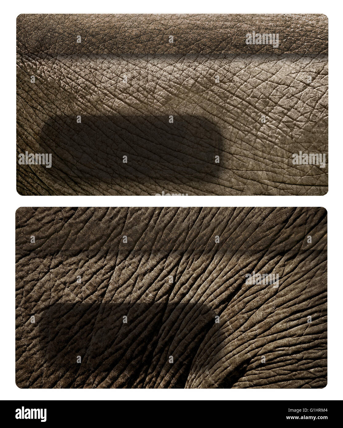 Besuchen Sie Kartenvorlage Stockfoto