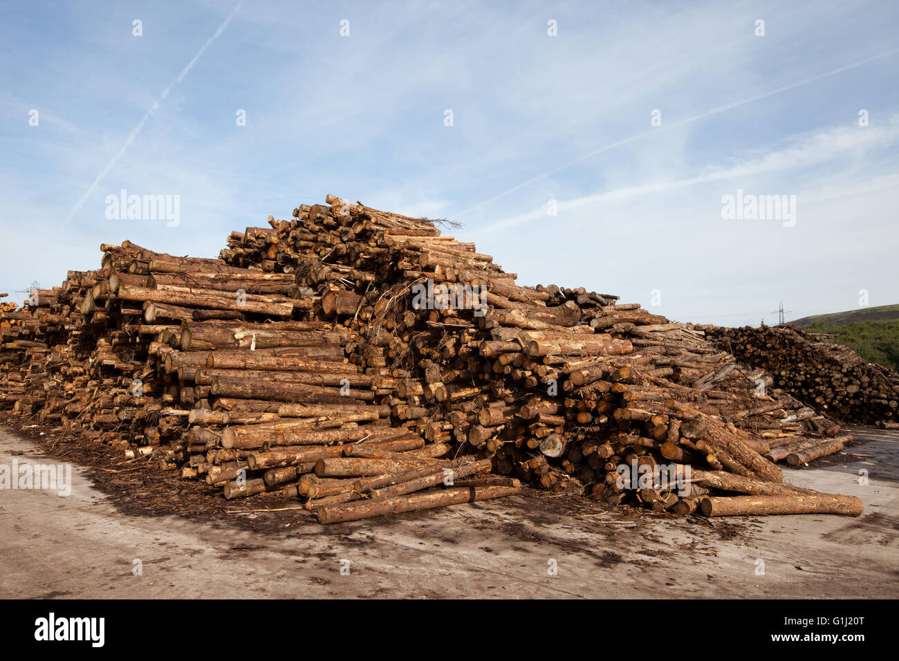 Holz in The Western Wood Energy Plant in Port Talbot, Wales gehortet. Stockfoto