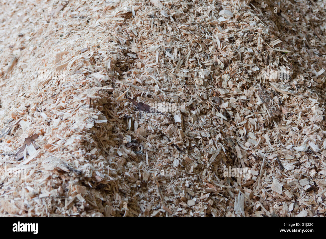 Holz-Chip bereit, in The Western Wood Energy Plant in Port Talbot, Wales eingespeist werden. Stockfoto