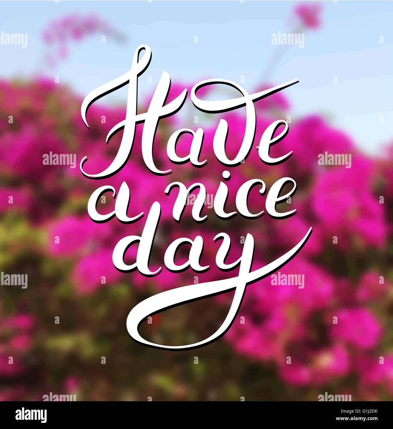 Haben Sie eine schönen Tag Hand Schriftzug Phrase auf florale Unschärfe Hintergrund Stock Vektor