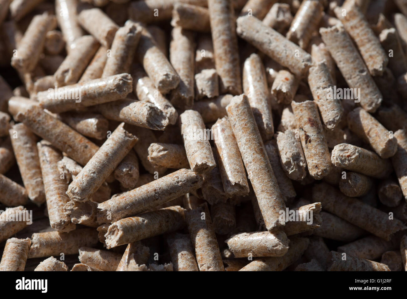 Holzpellets in den Kessel Trichter Vakuumkomponenten Store im Wohnungsbau Genossenschaft Sanford. Stockfoto