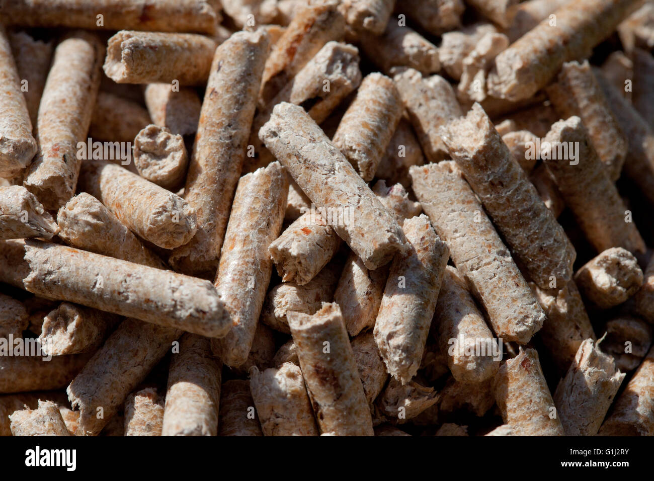 Holzpellets in den Kessel Trichter Vakuumkomponenten Store im Wohnungsbau Genossenschaft Sanford. Stockfoto