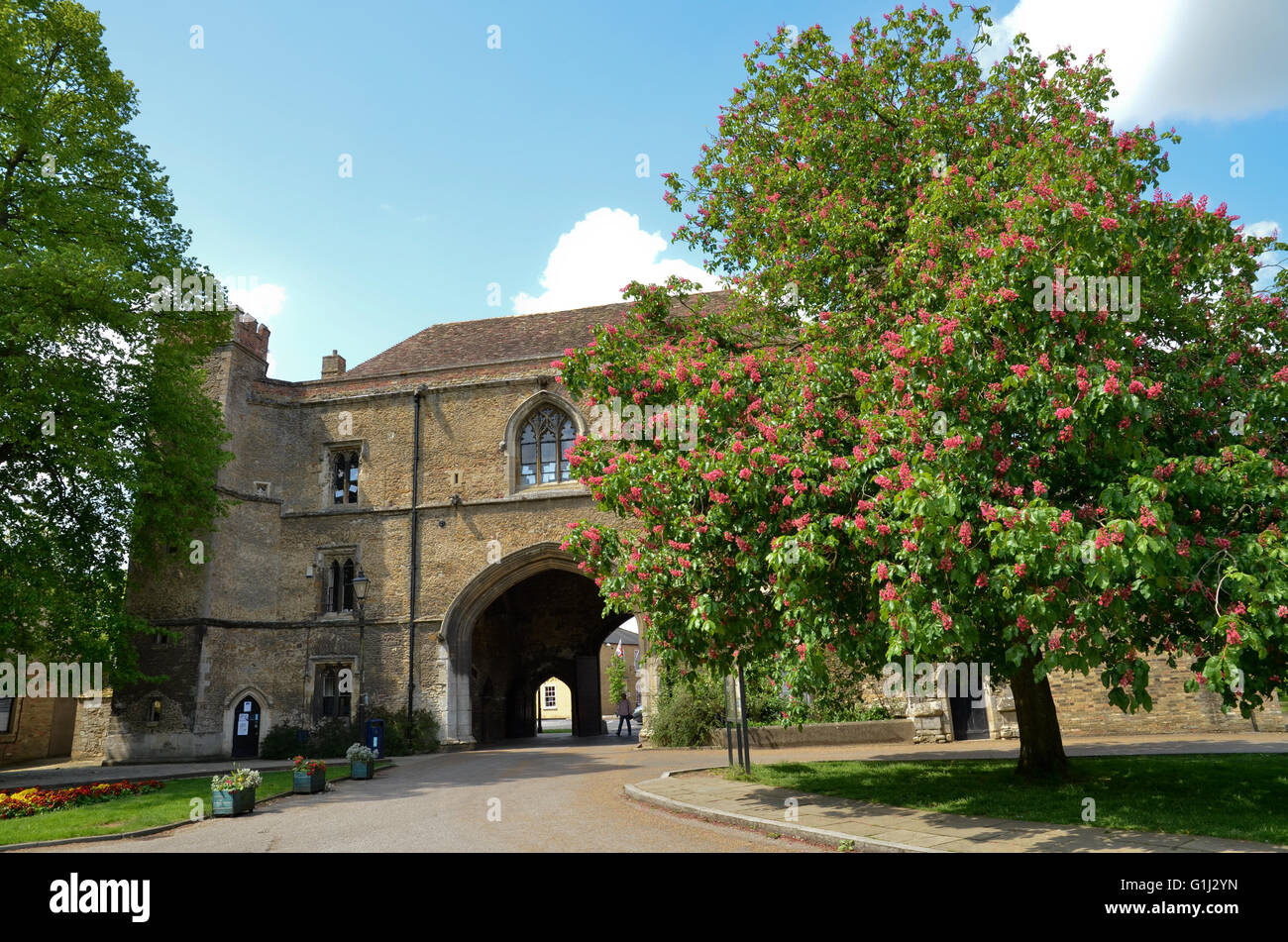 Ein Torhaus an Ely Kathedrale in Ely, Cambridgeshire, England Stockfoto