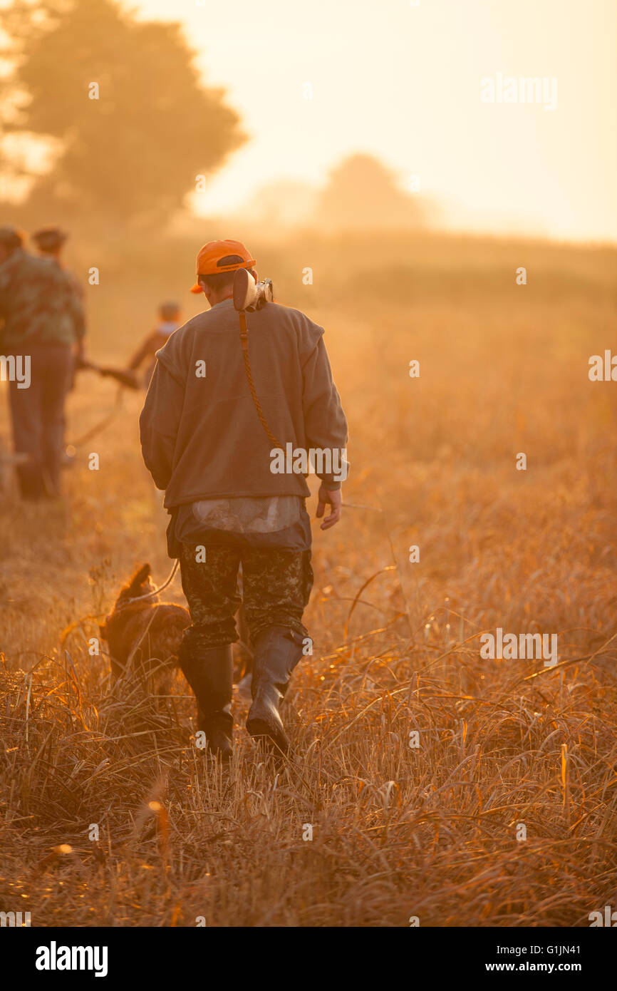 Jäger und seinem Hund zu Fuß auf Feld bei Wachteln jagen Stockfoto