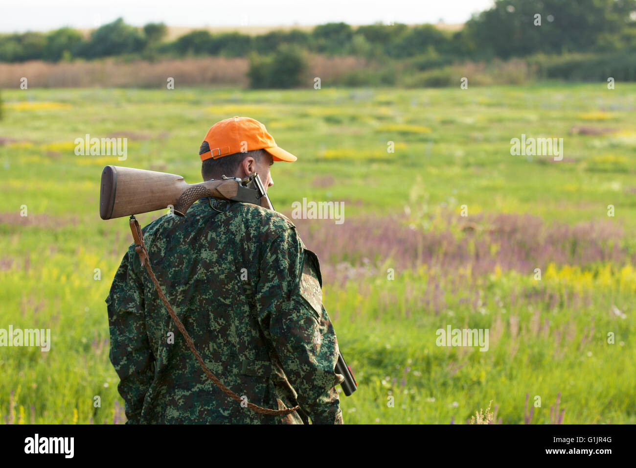 Männliche Jäger Blick auf Feld Jagd Saison quial Stockfoto
