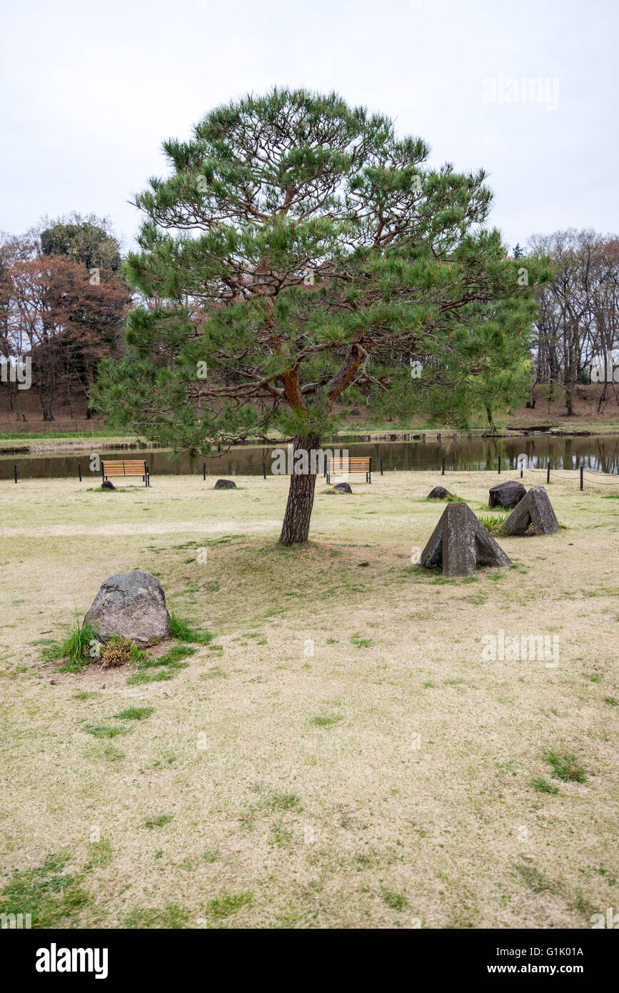 Ein einzelner Baum in einem Park, umgeben von Steinen Stockfoto