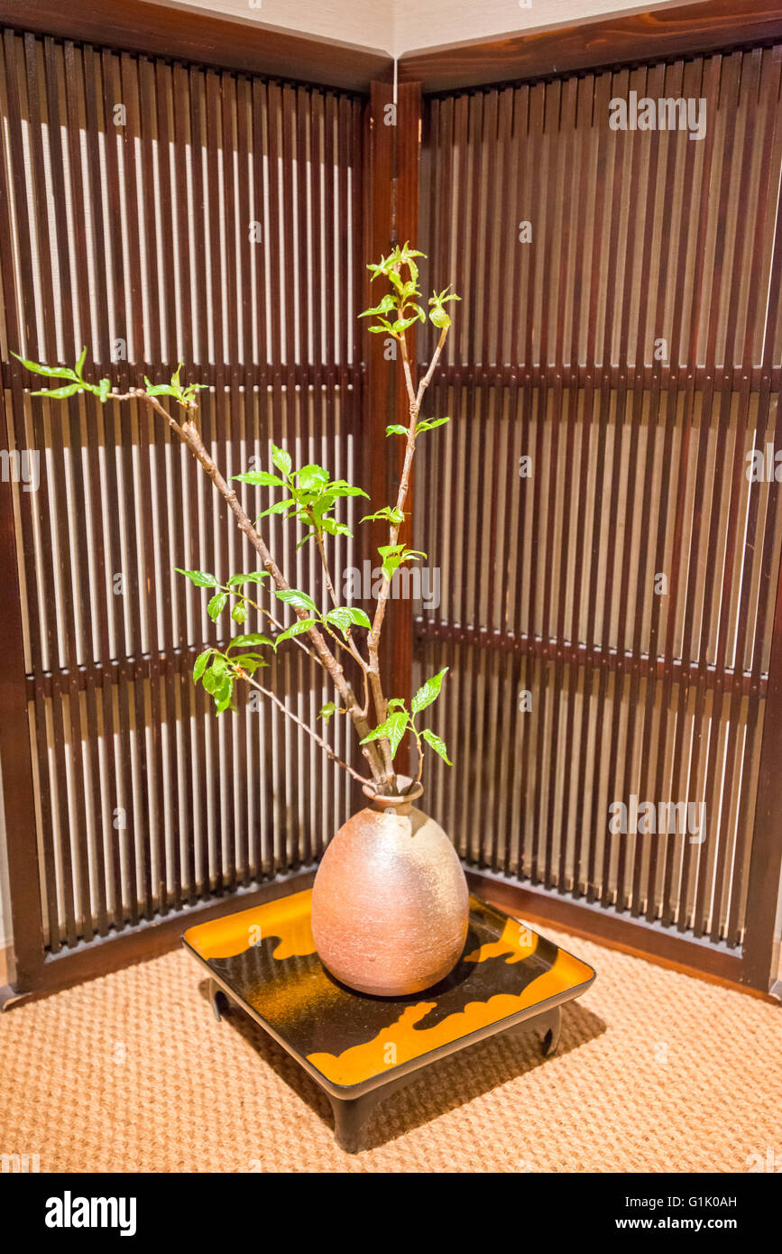 Dekorative Pflanze und Schüssel mit hölzernen Bildschirm im japanischen Stil Stockfoto