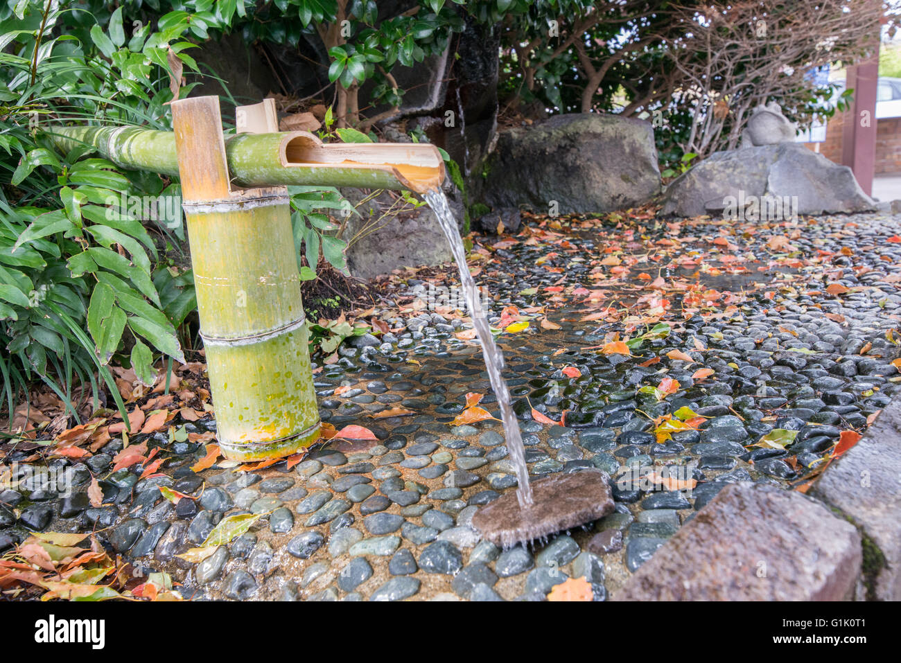 Bambus-Wasserhahn und Cup zum Baden oder trinken Stockfotografie - Alamy