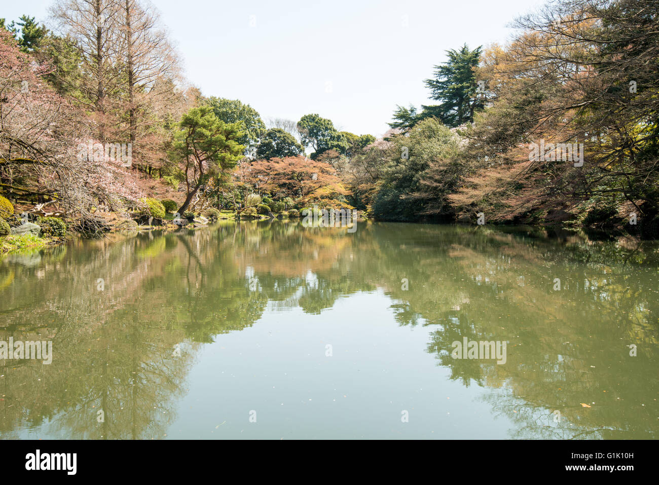Stilles Wasser in Tokio Park auf See Stockfoto