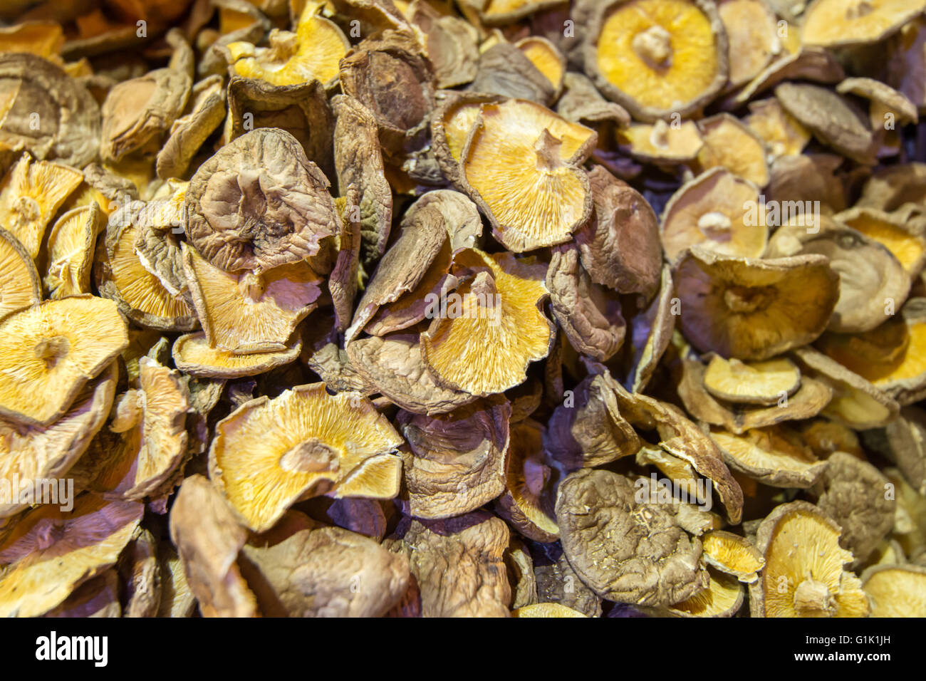 getrocknete Pilze Stockfoto