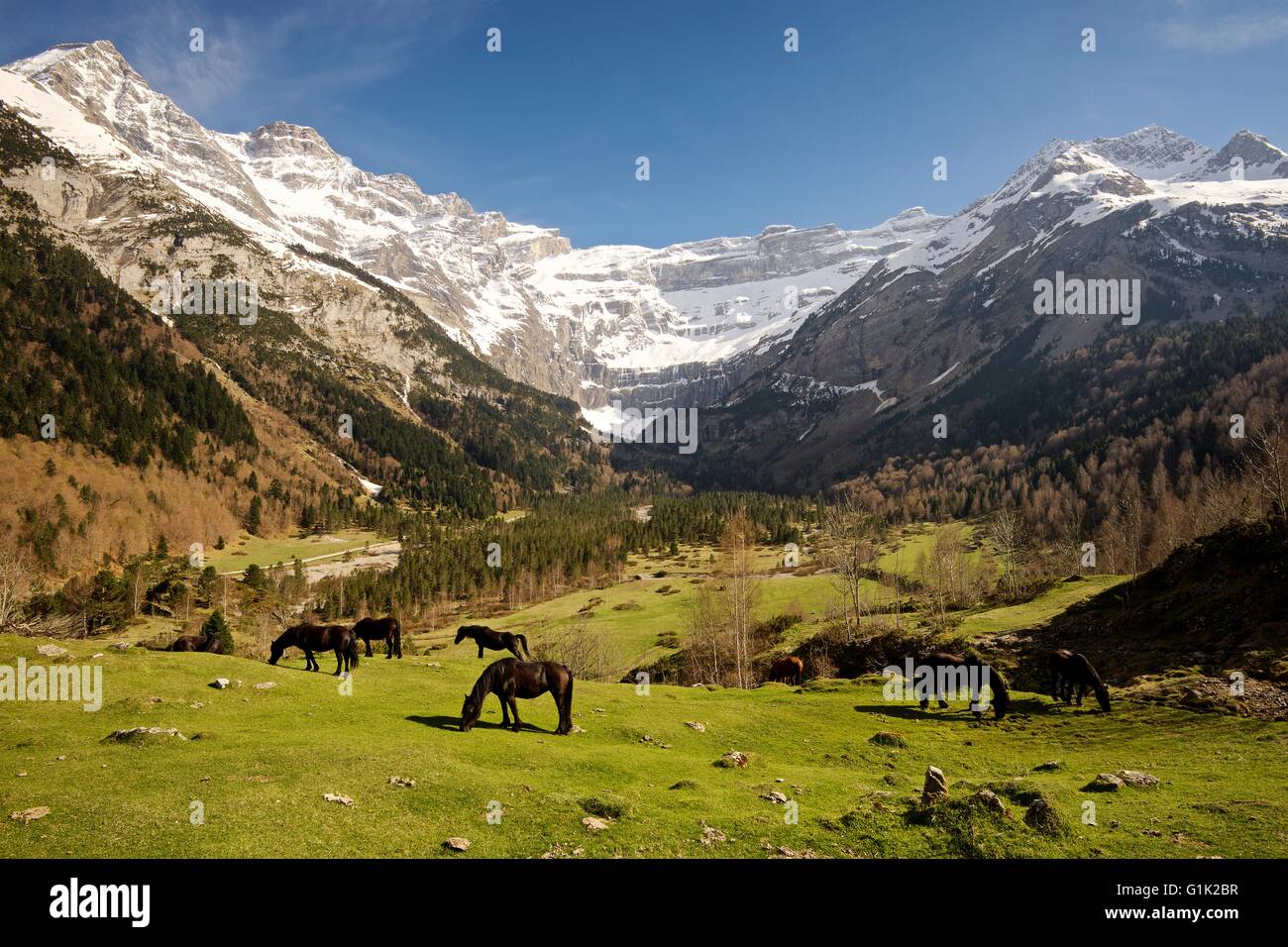 Ein Farbbild des Cirque de Gavarnie in den Midi-Pyrenäen Stockfoto