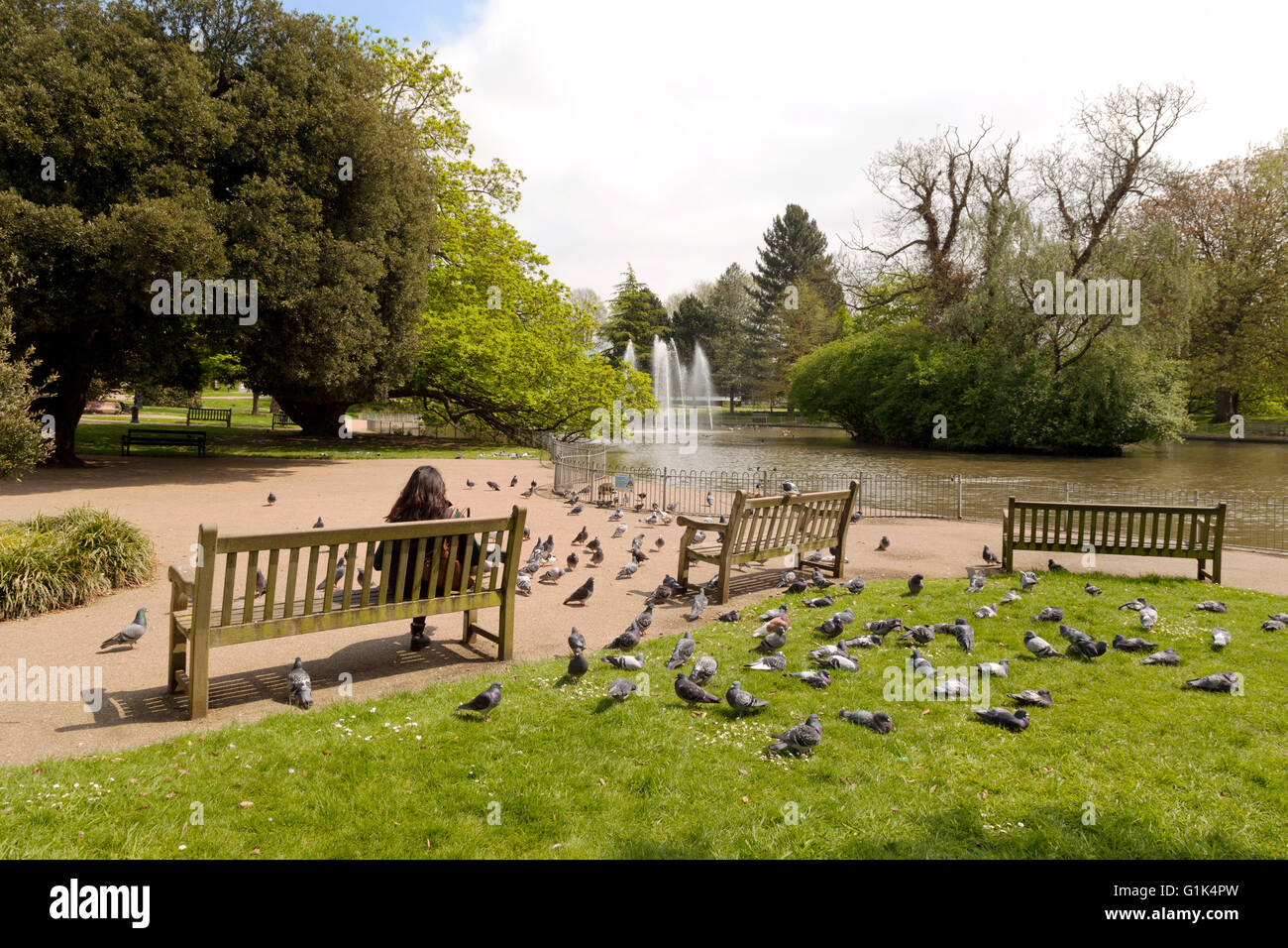 Eine Frau sitzt auf einer Parkbank mit Tauben, See und Brunnen, Jephson Gardens, Royal Leamington Spa, Warwickshire UK Stockfoto