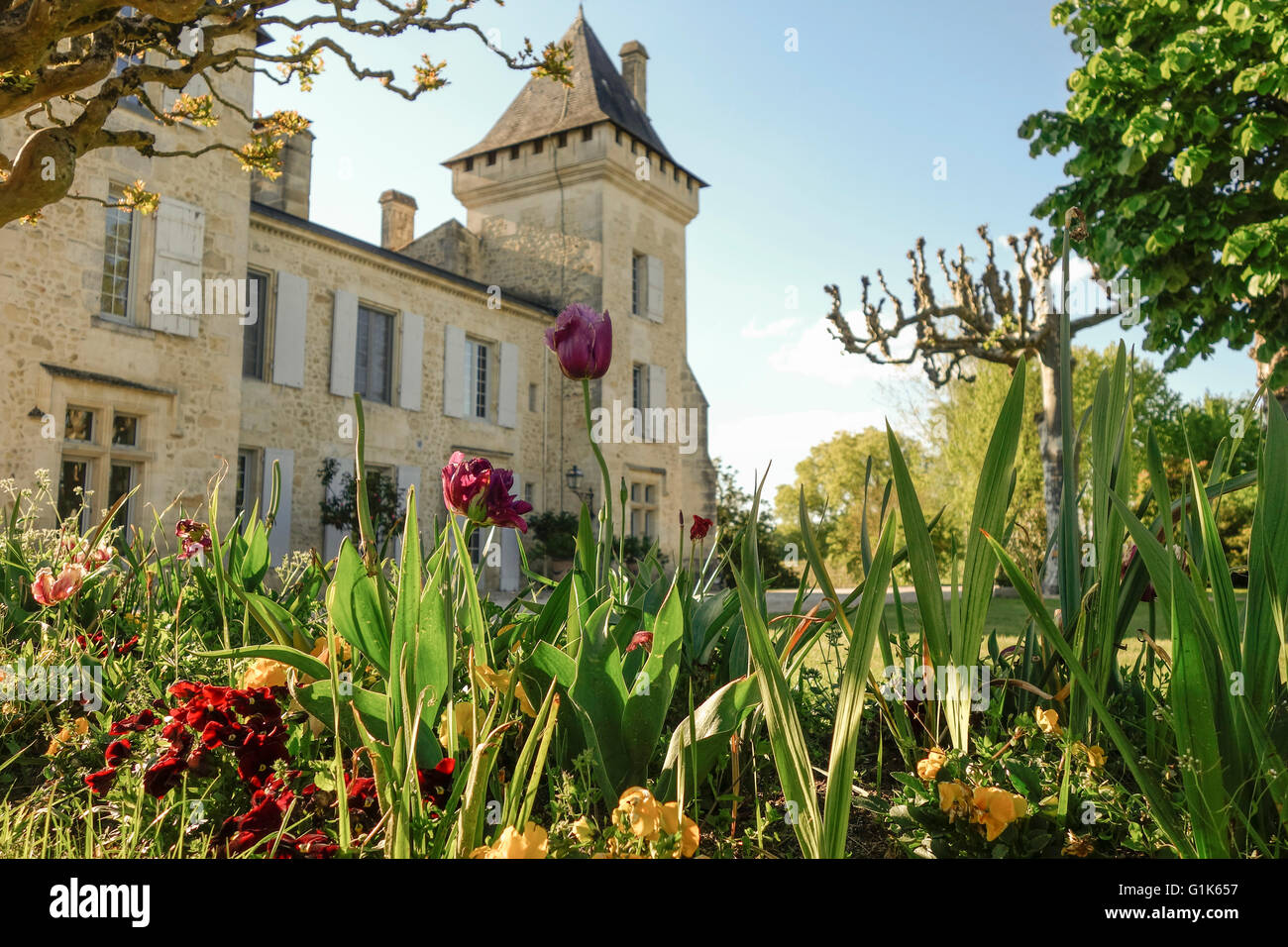 Englischen Garten, Wein Weingut Château Carignan, Burg, Carignan de Bordeaux, Frankreich. Stockfoto