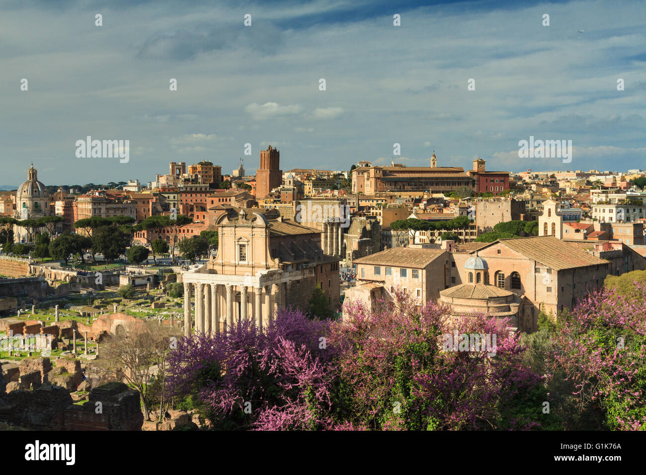 Sicht des Forum Romanum, Rom, Italien Stockfoto