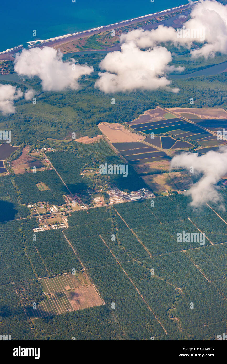 Costarica - Luftbild von Landschaft und zentrale Pazifikküste. Palmöl-Plantagen. Stockfoto