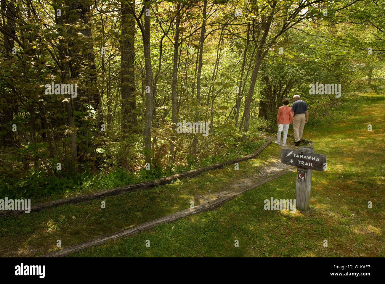 Hostals Trail Linn Cove North Carolina USA. Stockfoto