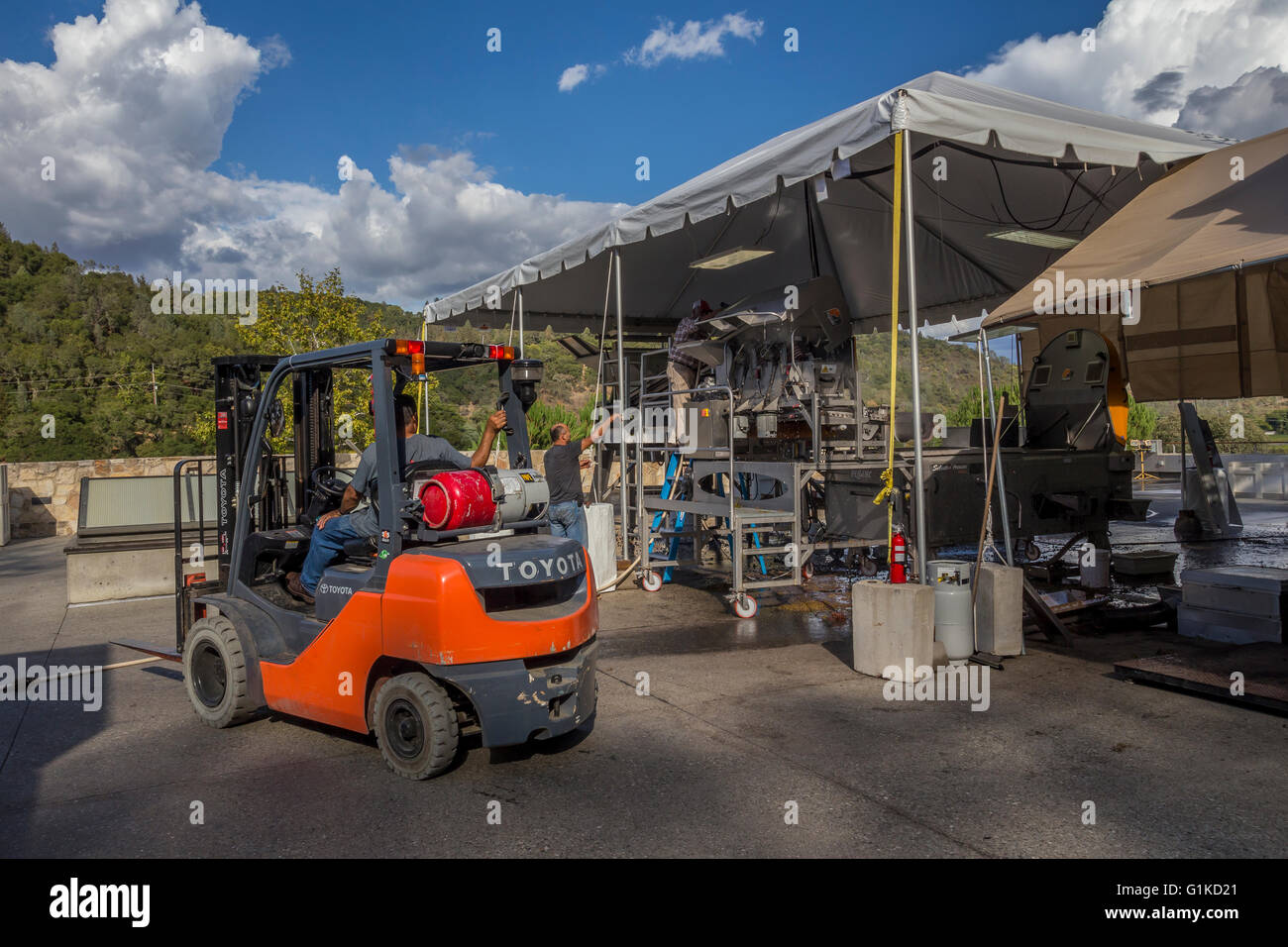 Arbeiter Reinigung Entrappen Maschine, zerquetschen pad, Rutherford, Quintessa, Napa County, Kalifornien, Napa Valley Stockfoto