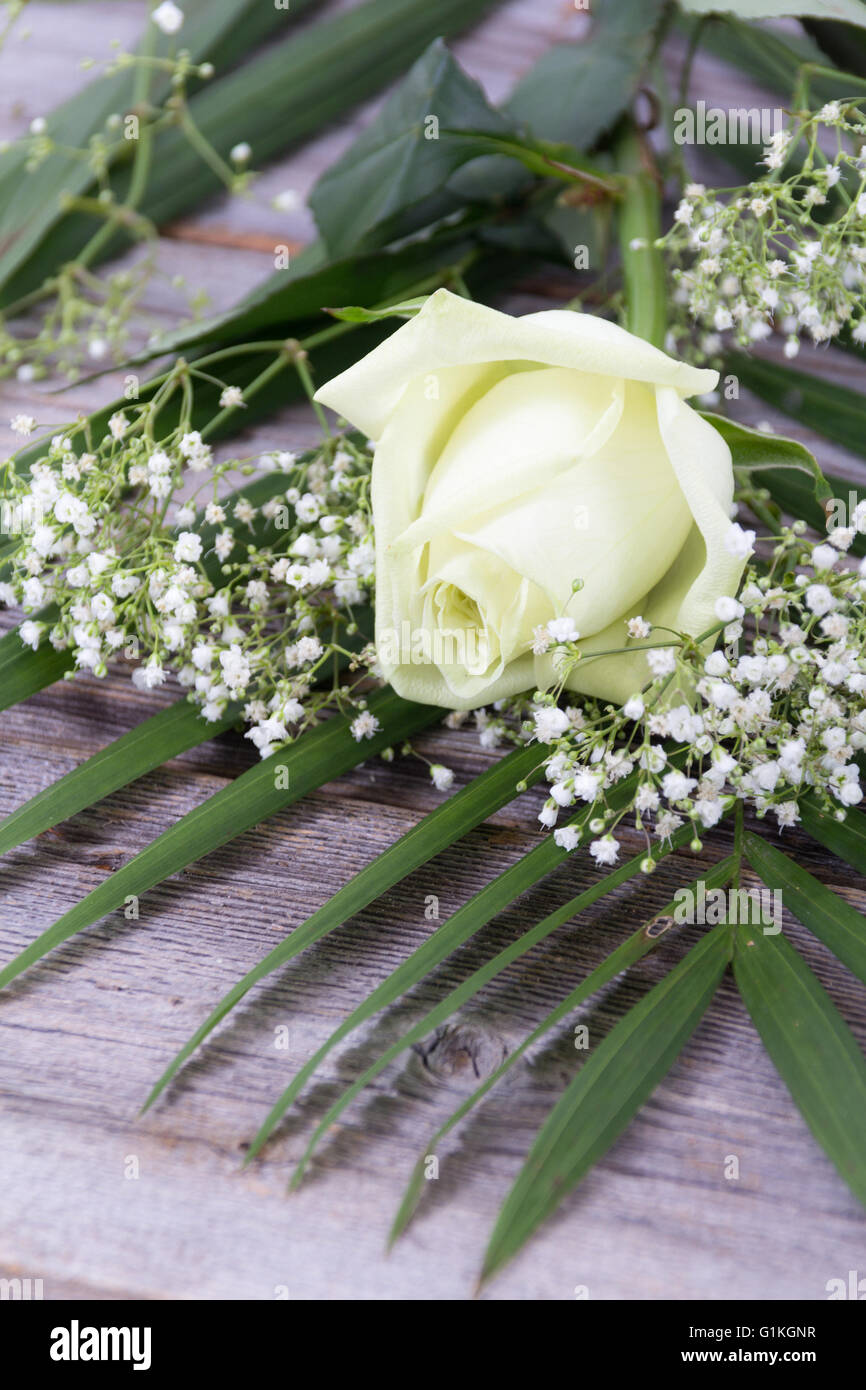 Weiße rose Blume am rustikalen Holztisch Stockfoto