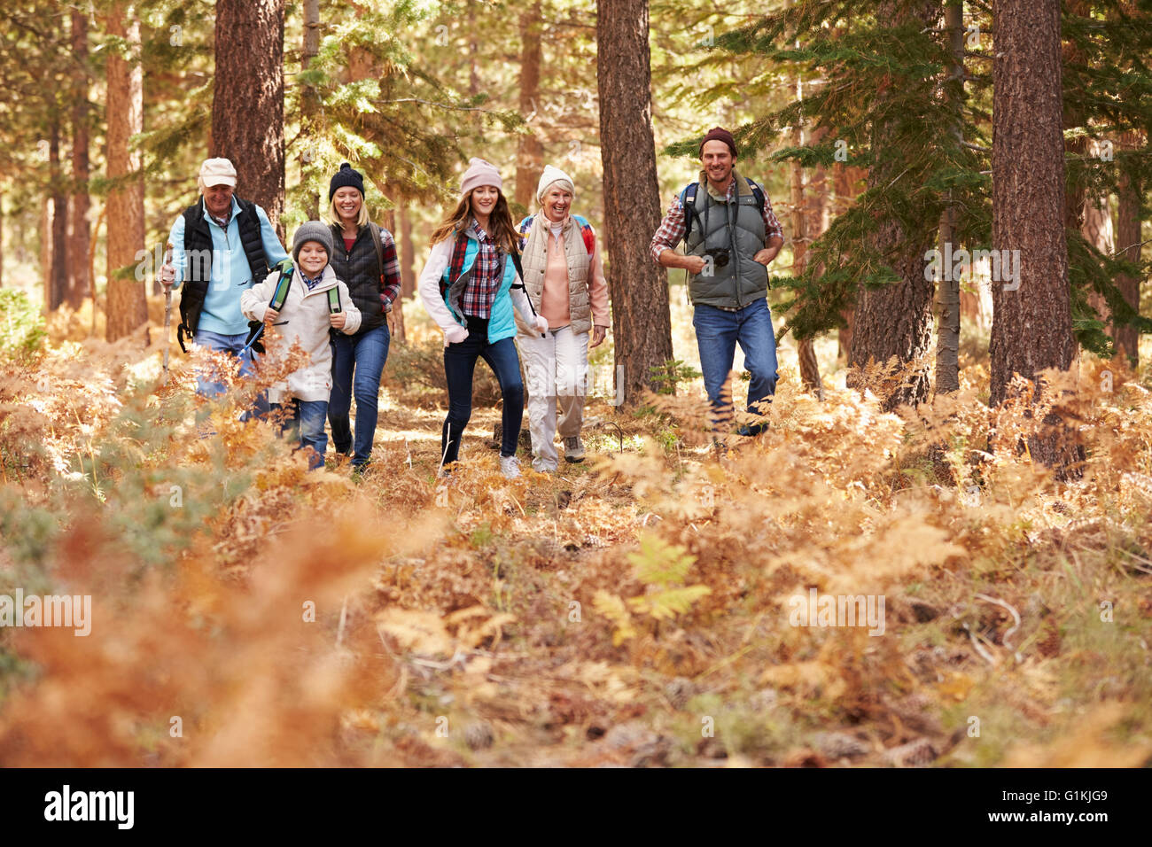 Multi-Generationen-Familie in einem Wald, Vordergrund Raum wandern Stockfoto