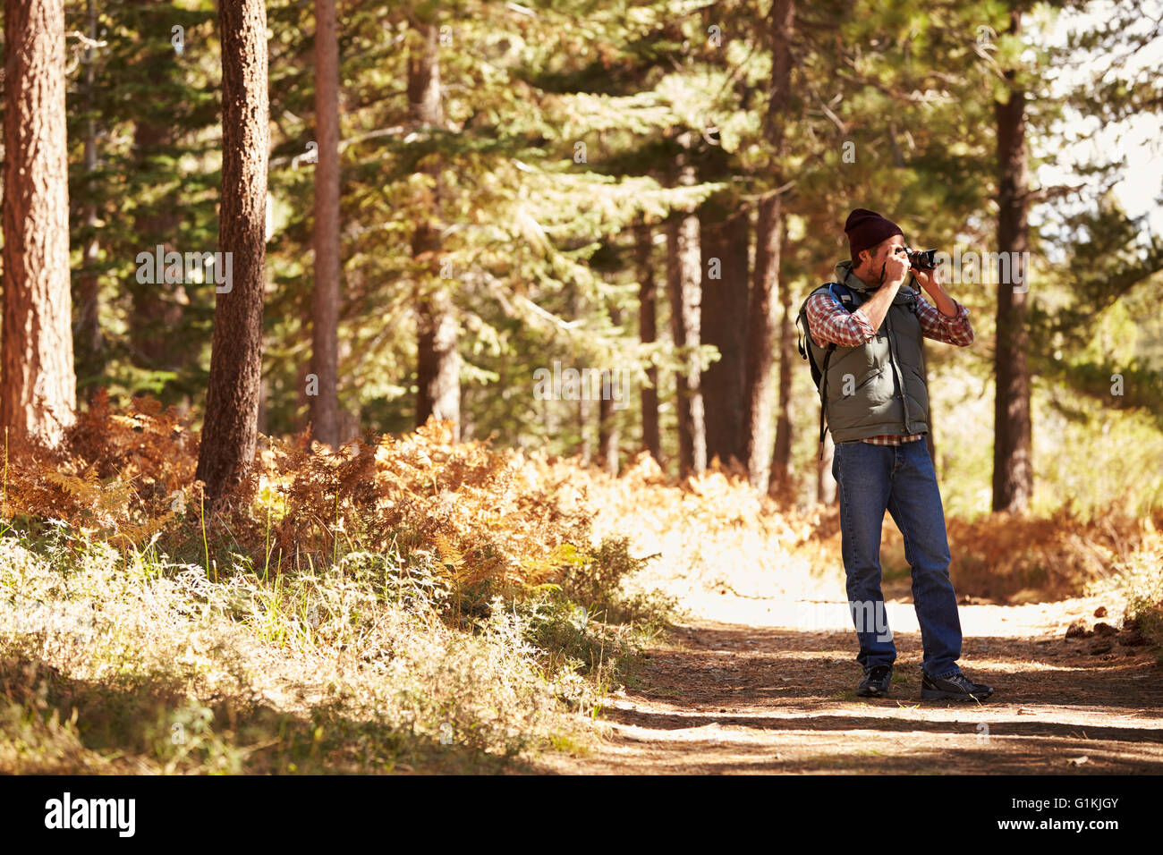 Mann Fotografieren im Wald, Big Bear, Kalifornien, USA Stockfoto