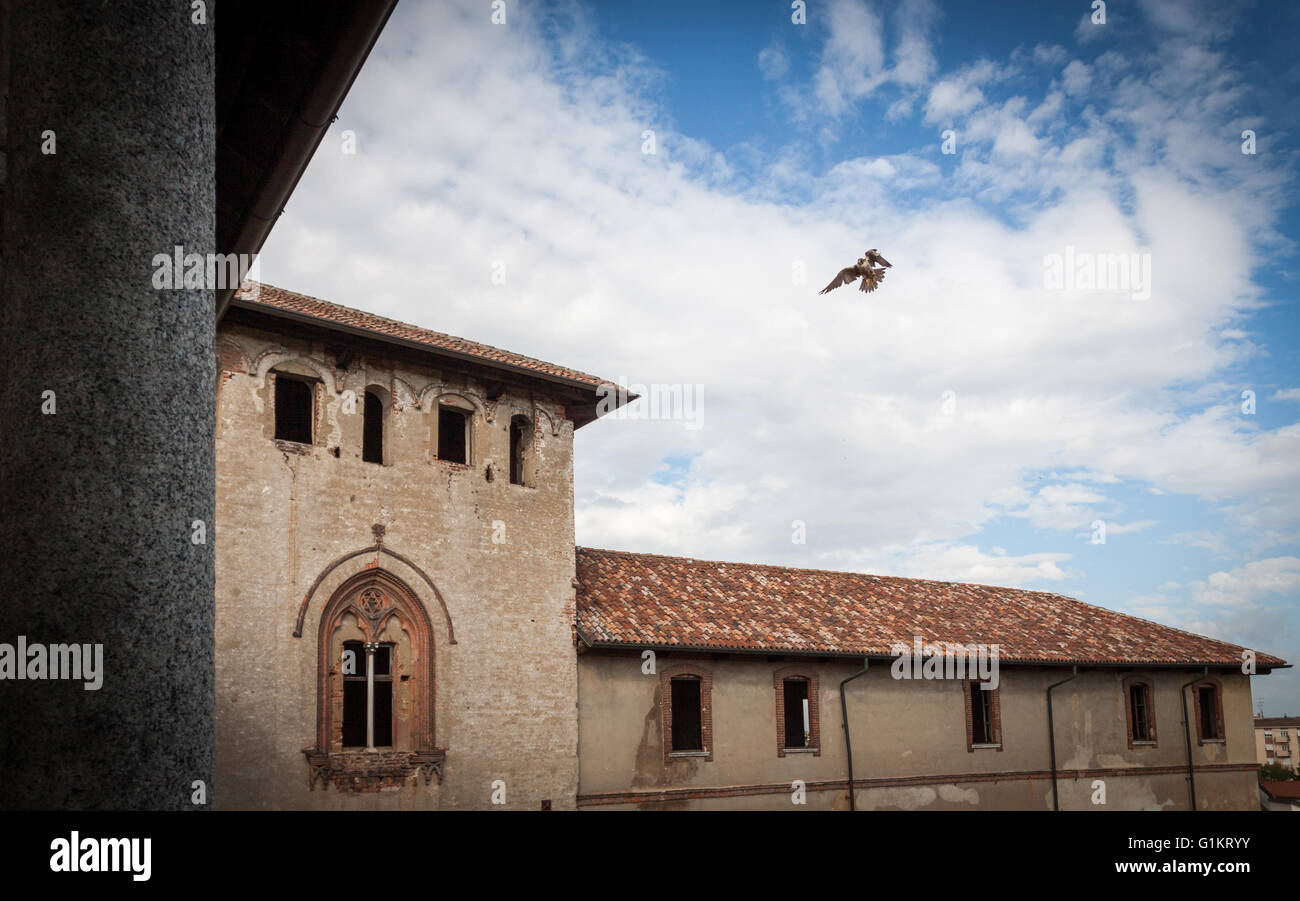 Brücke mit mittelalterlichen Vorhalle für den Zugriff auf die Falknerei. Vigevano, Lombardei. Italien Stockfoto